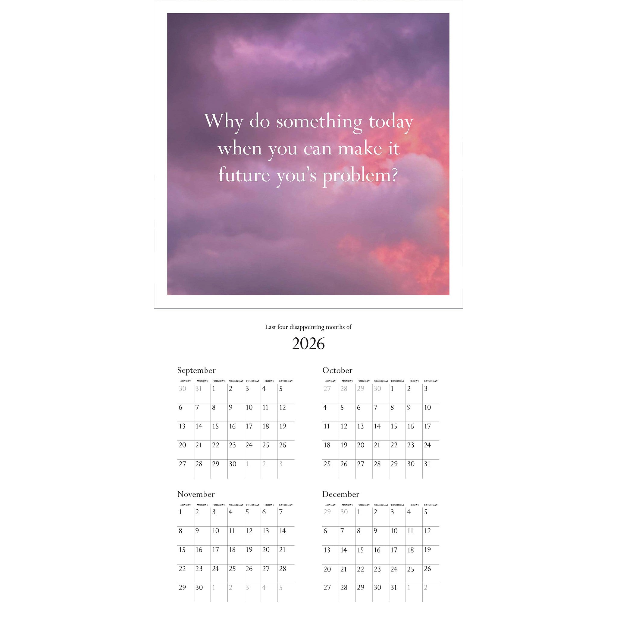 Disappointing Affirmations 2027 Wall Calendar