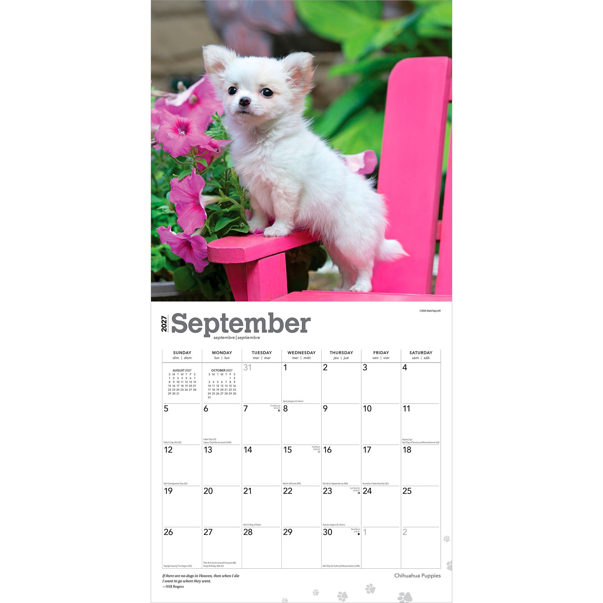 Chihuahua Puppies 2027 Wall Calendar