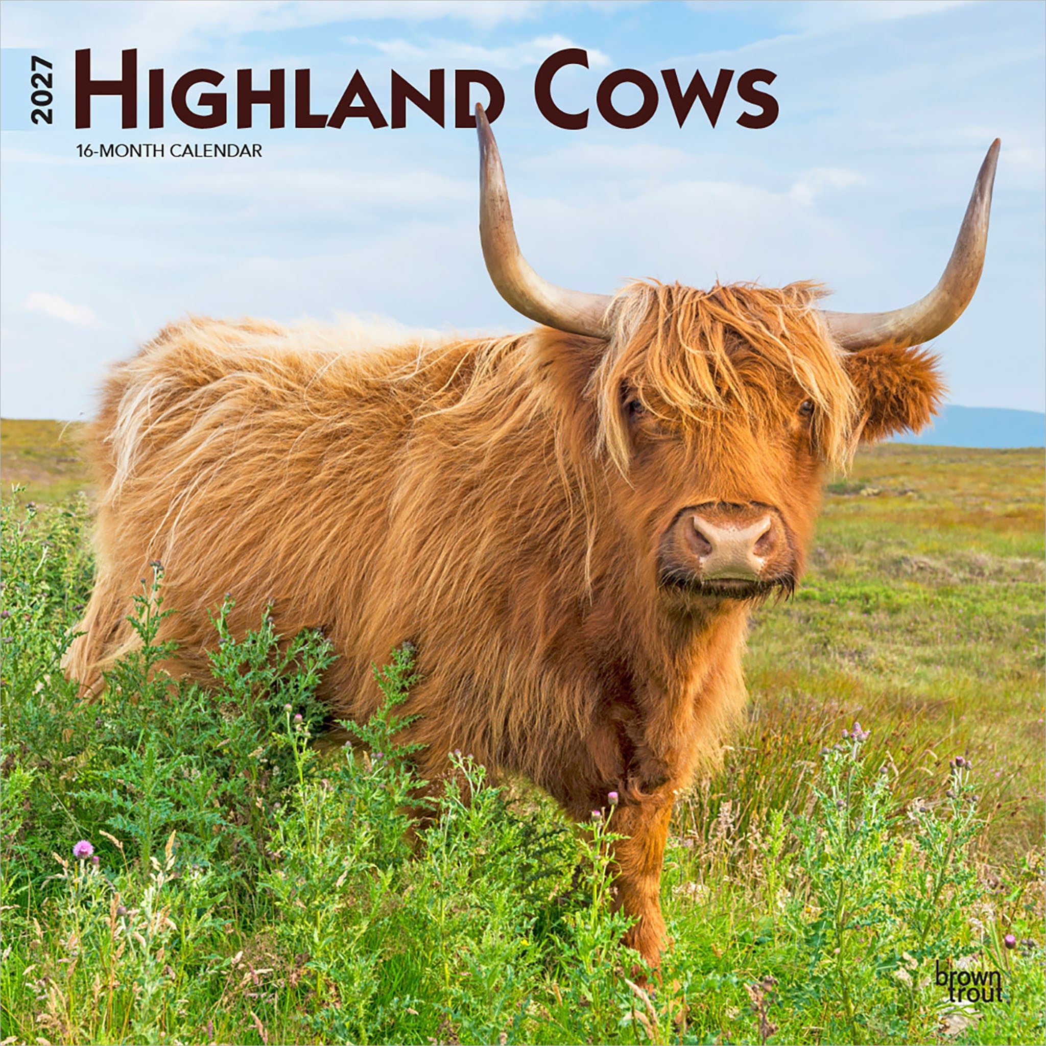 Highland Cows 2027 Wall Calendar