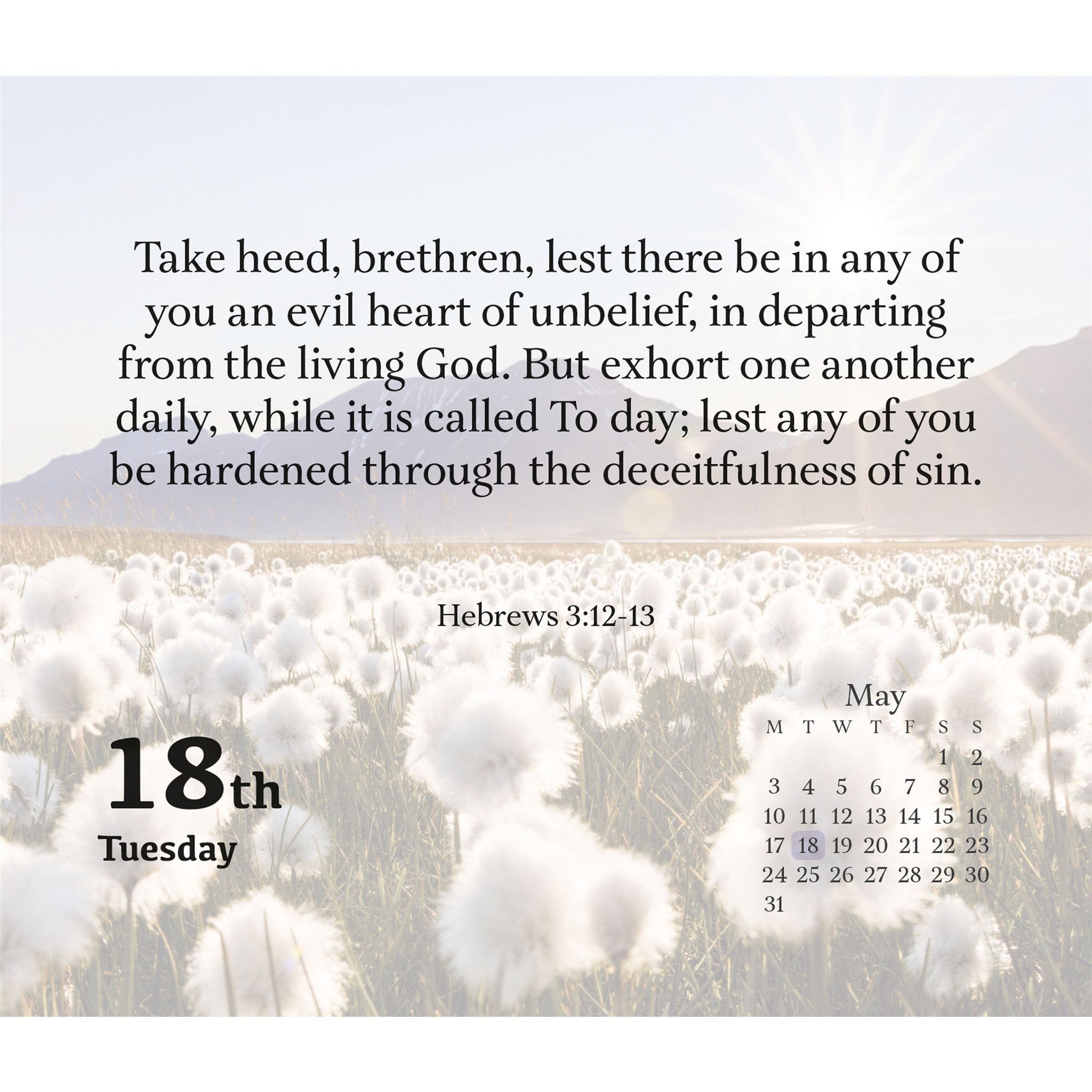 Bible Verses 2027 Box Calendar