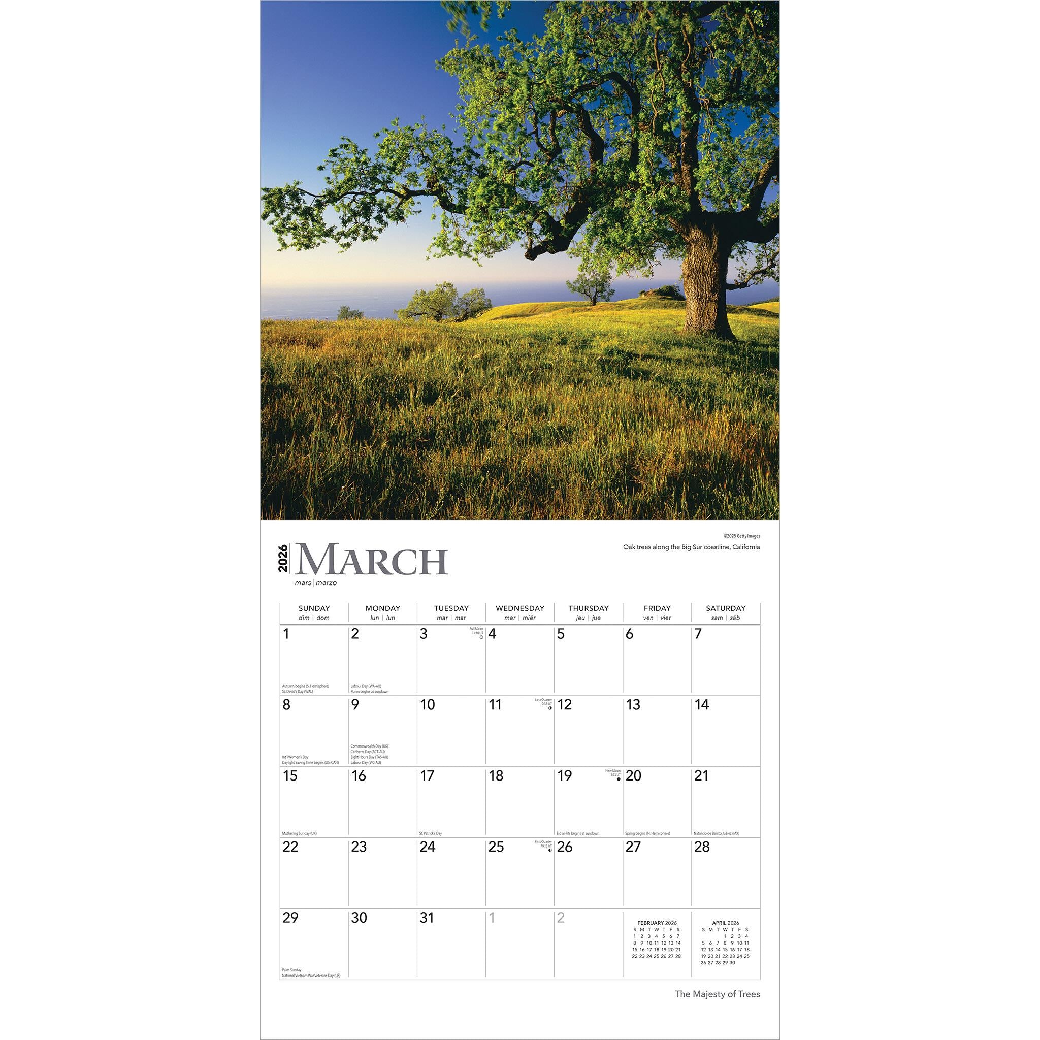Majesty Of Trees 2026 Wall Calendar - Online Only