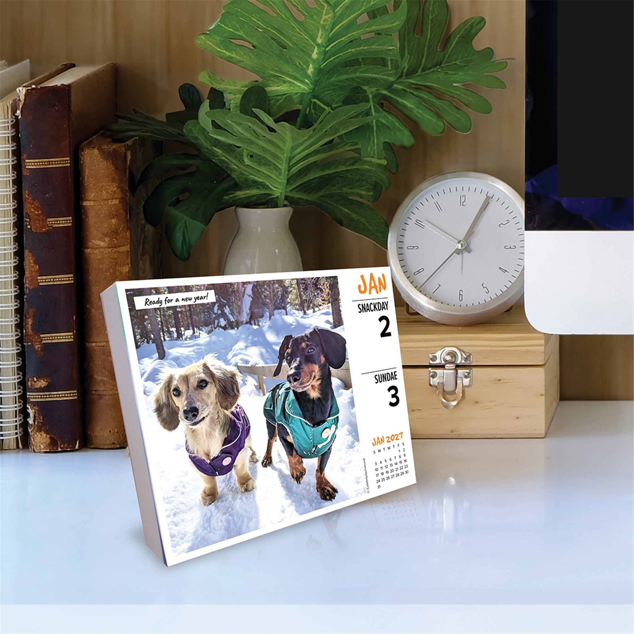 Crusoe the Celebrity Dachshund 2027 Box Calendar - Online Only