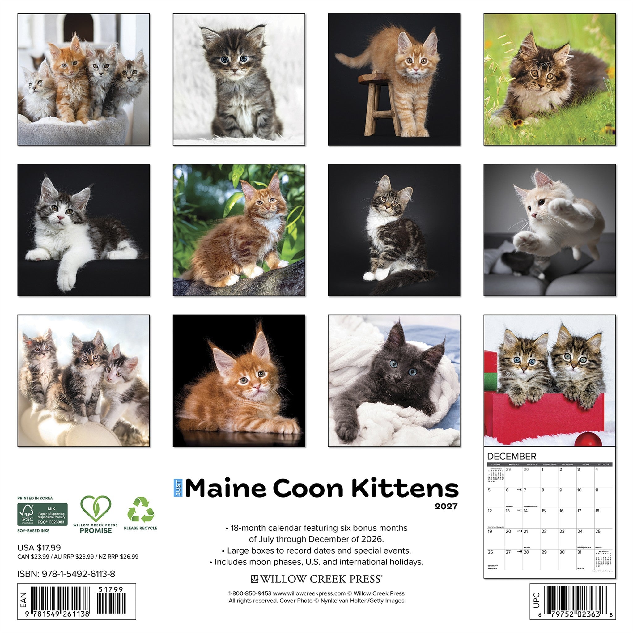 Maine Coon Kittens 2027 Wall Calendar