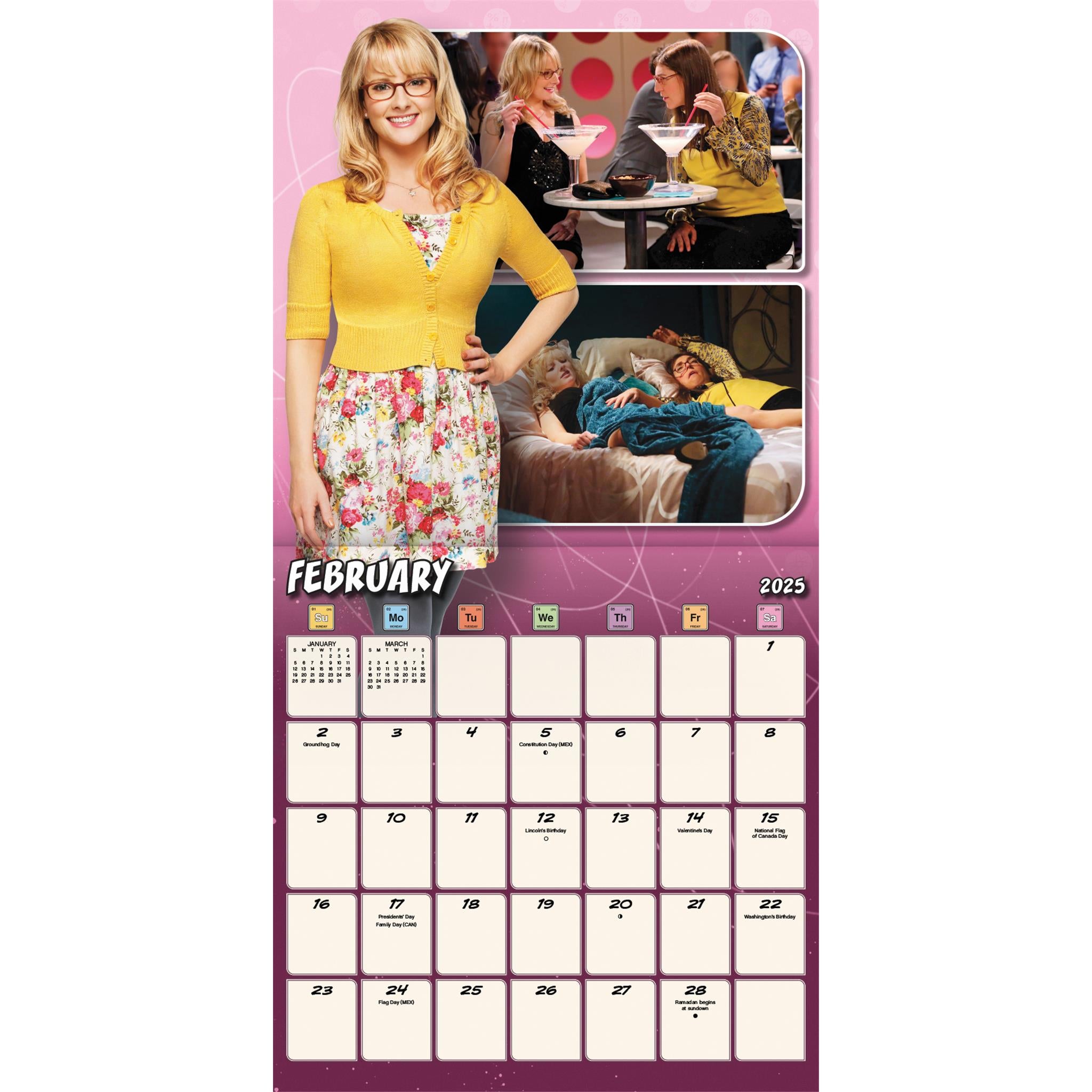Big Bang Theory Wall 2025 Calendar