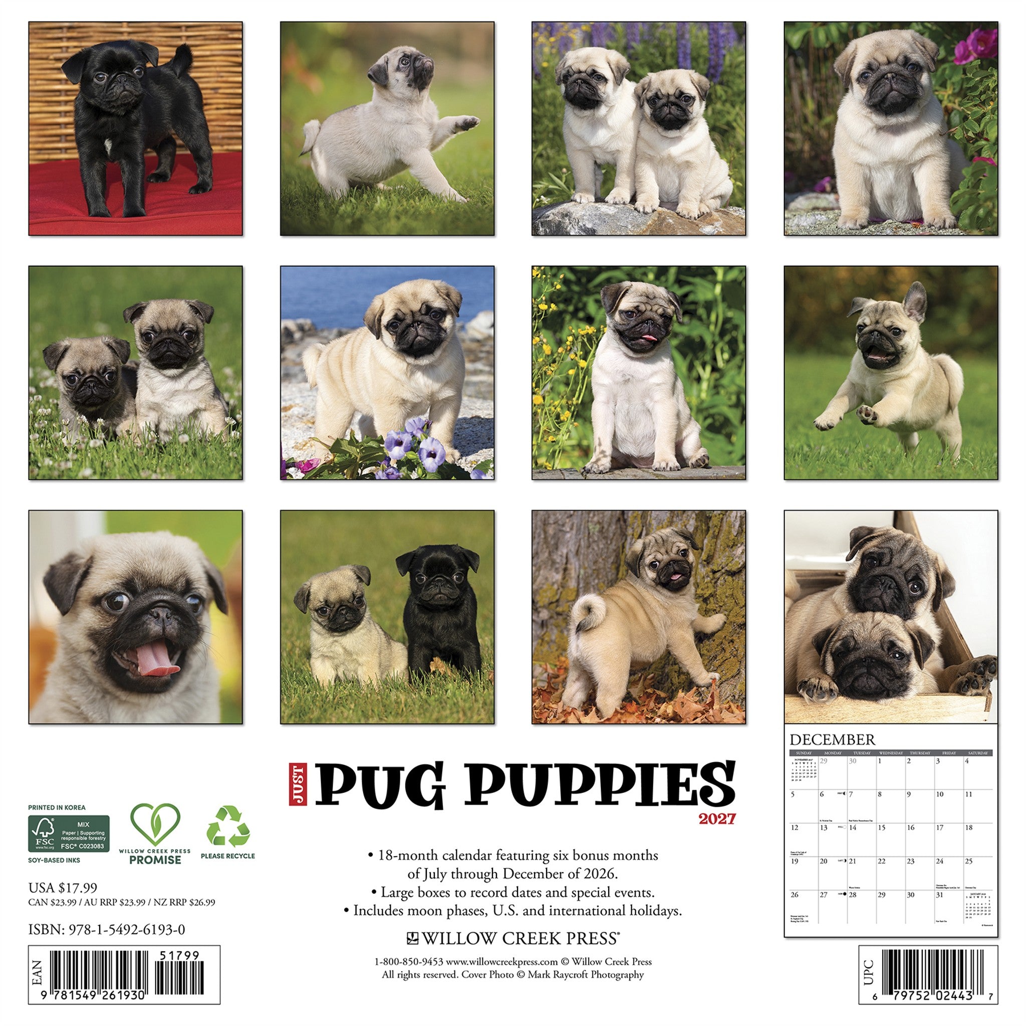 Pug Puppies 2027 Wall Calendar