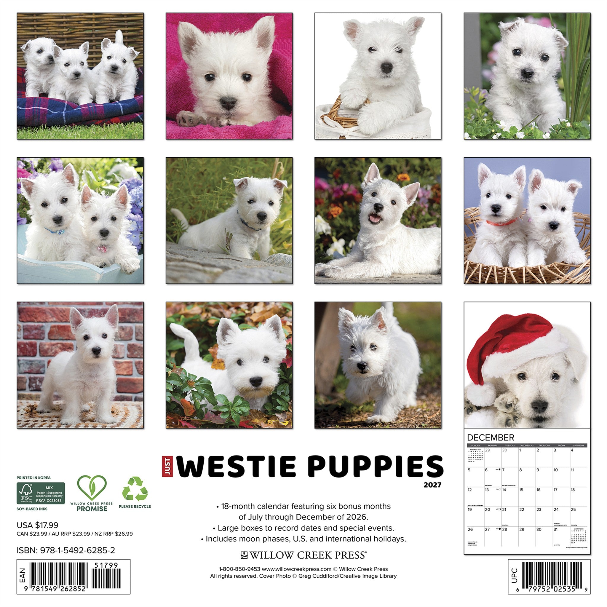 Westie Puppies 2027 Wall Calendar - Online Only