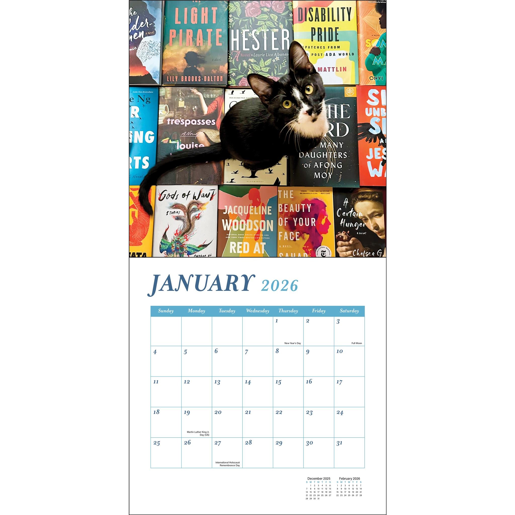 Cats And Books 2026 Wall Calendar