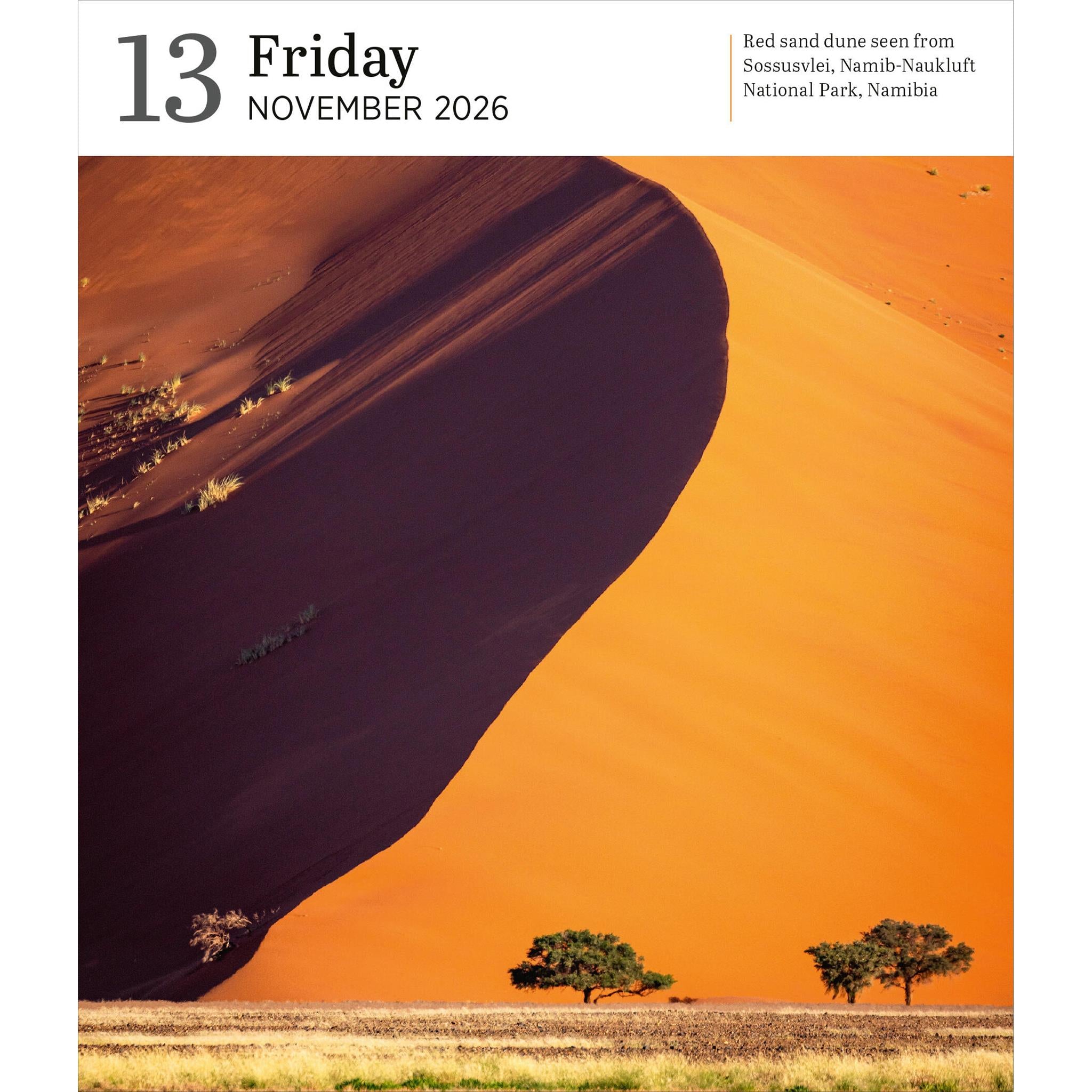 Audubon Nature Gallery 2026 Box Calendar