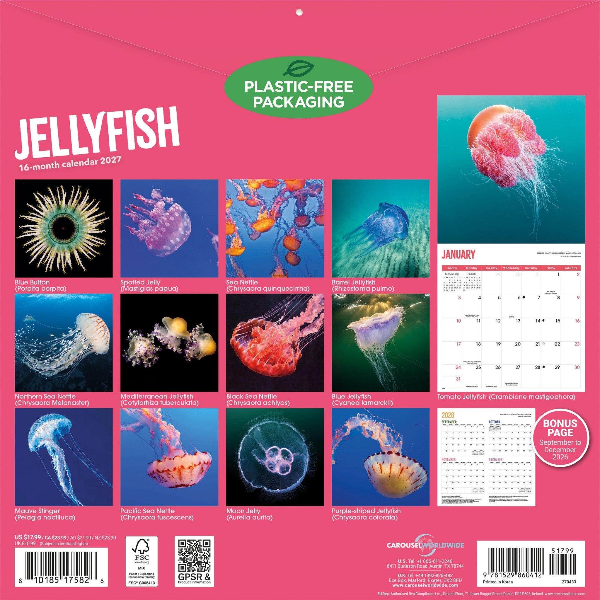 Jellyfish 2027 Wall Calendar