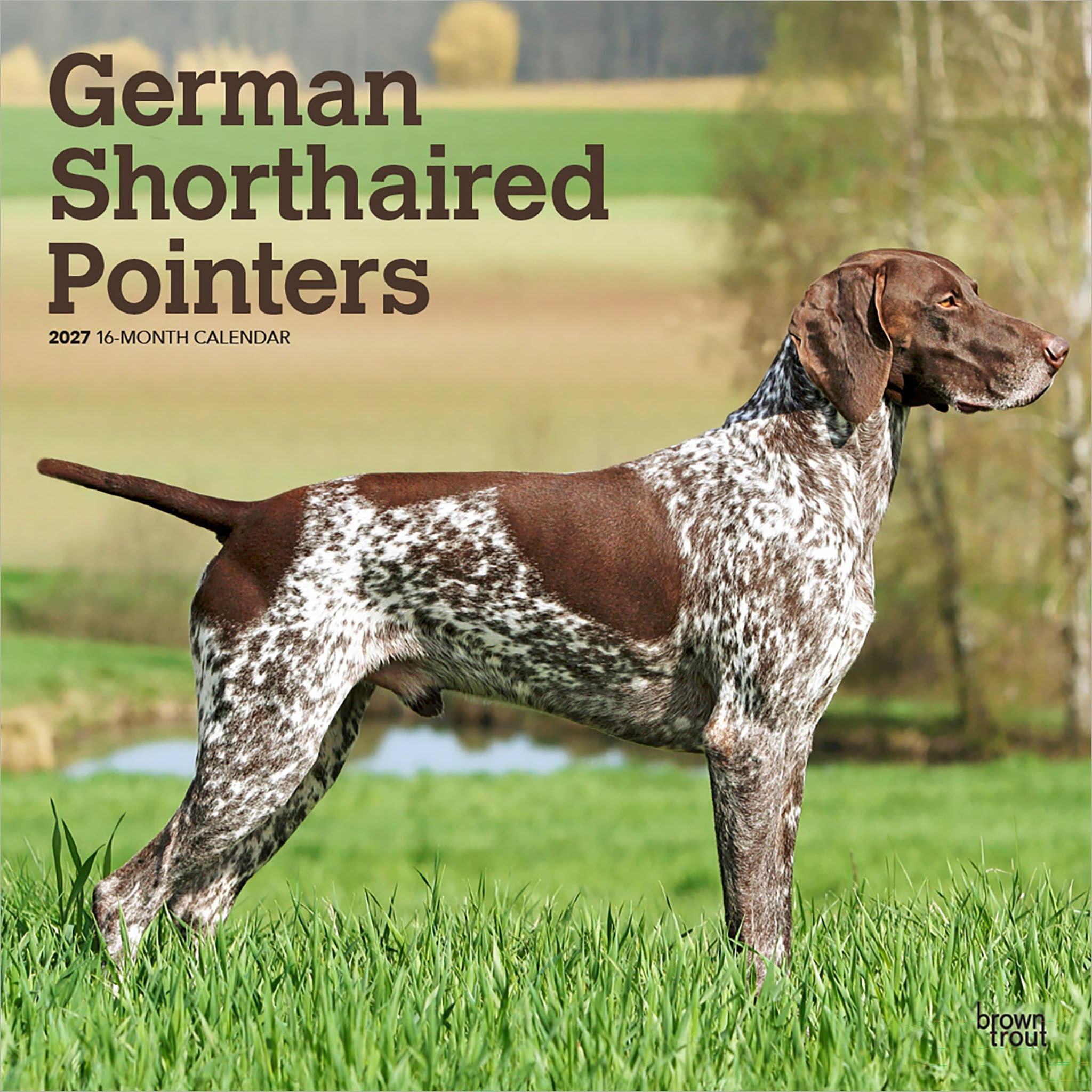 German Shorthaired Pointers 2027 Wall Calendar