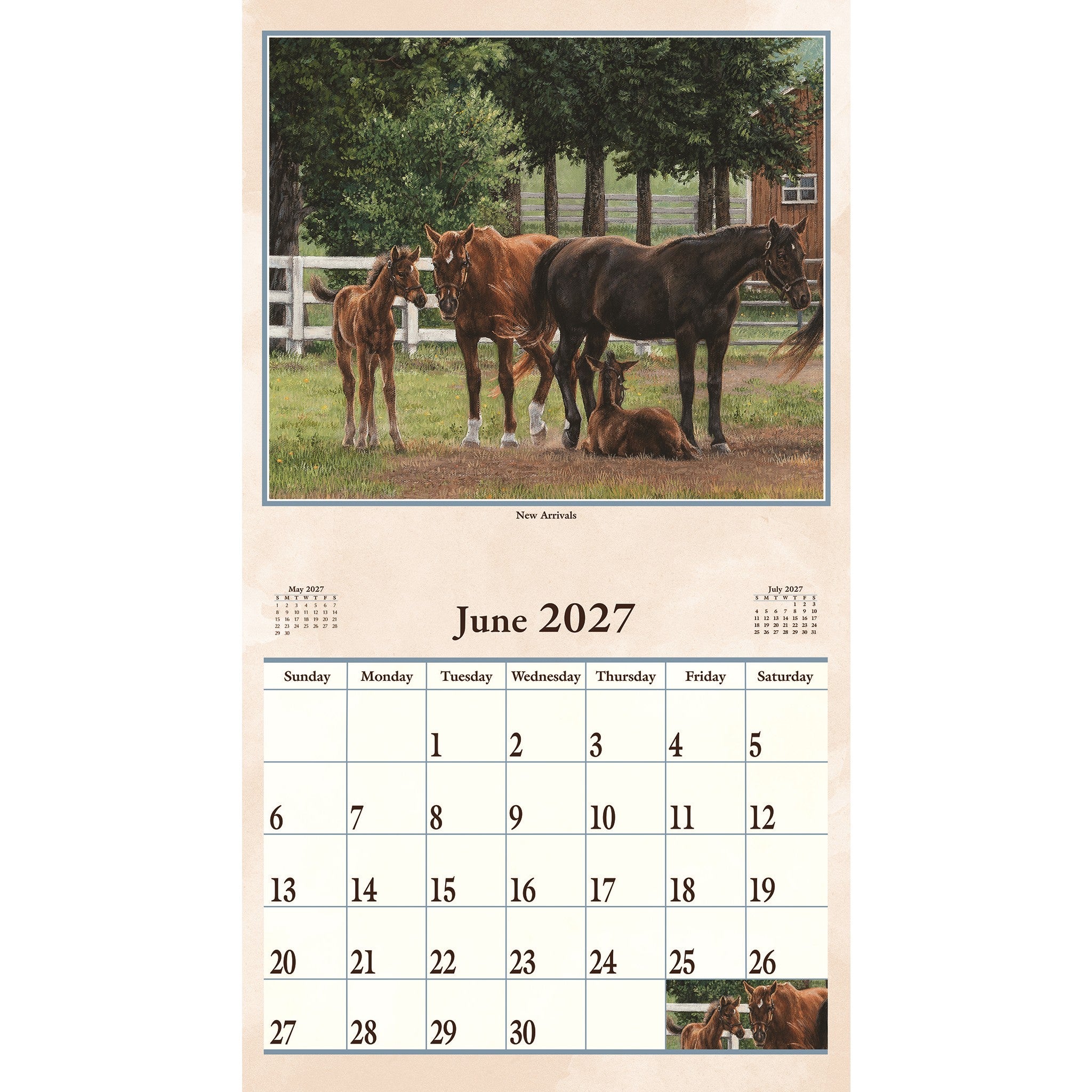 Hoof Beats 2027 Wall Calendar - Online Only