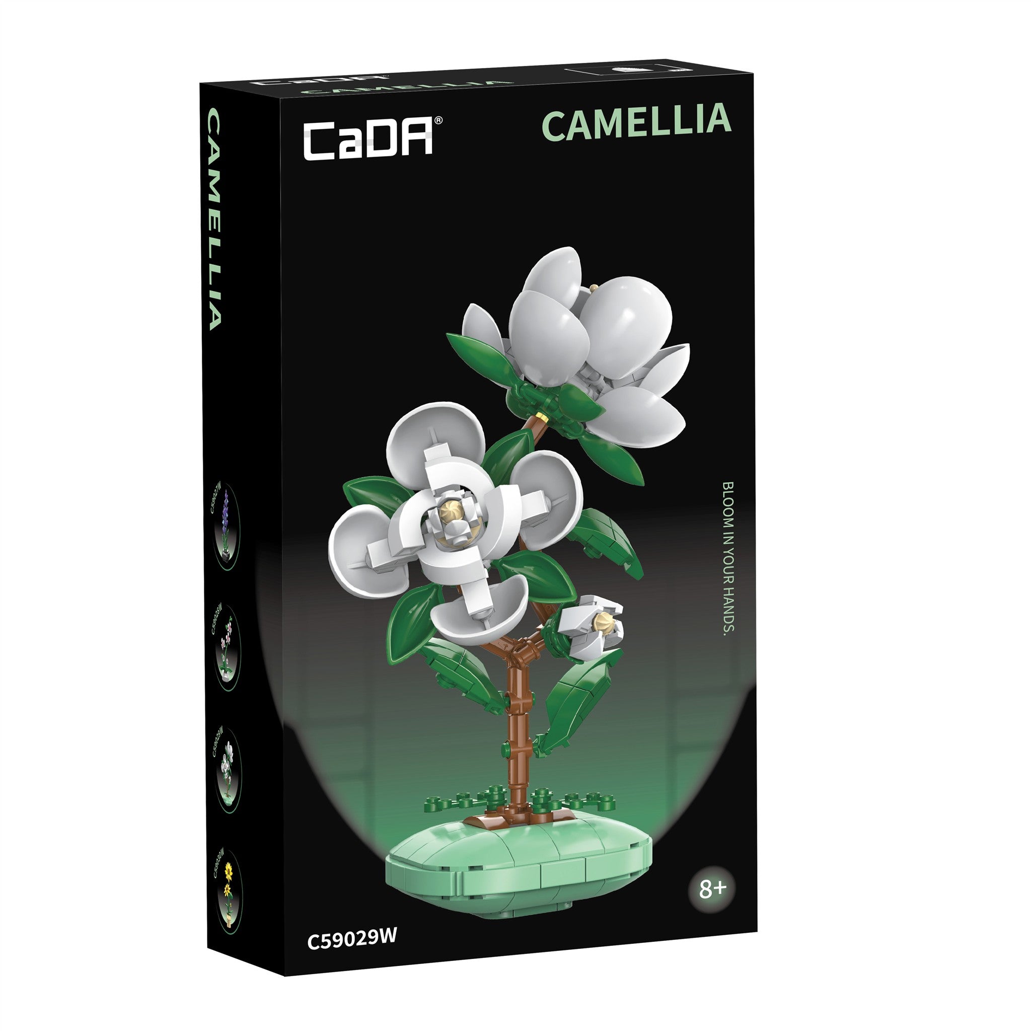Camellia 301 Pieces