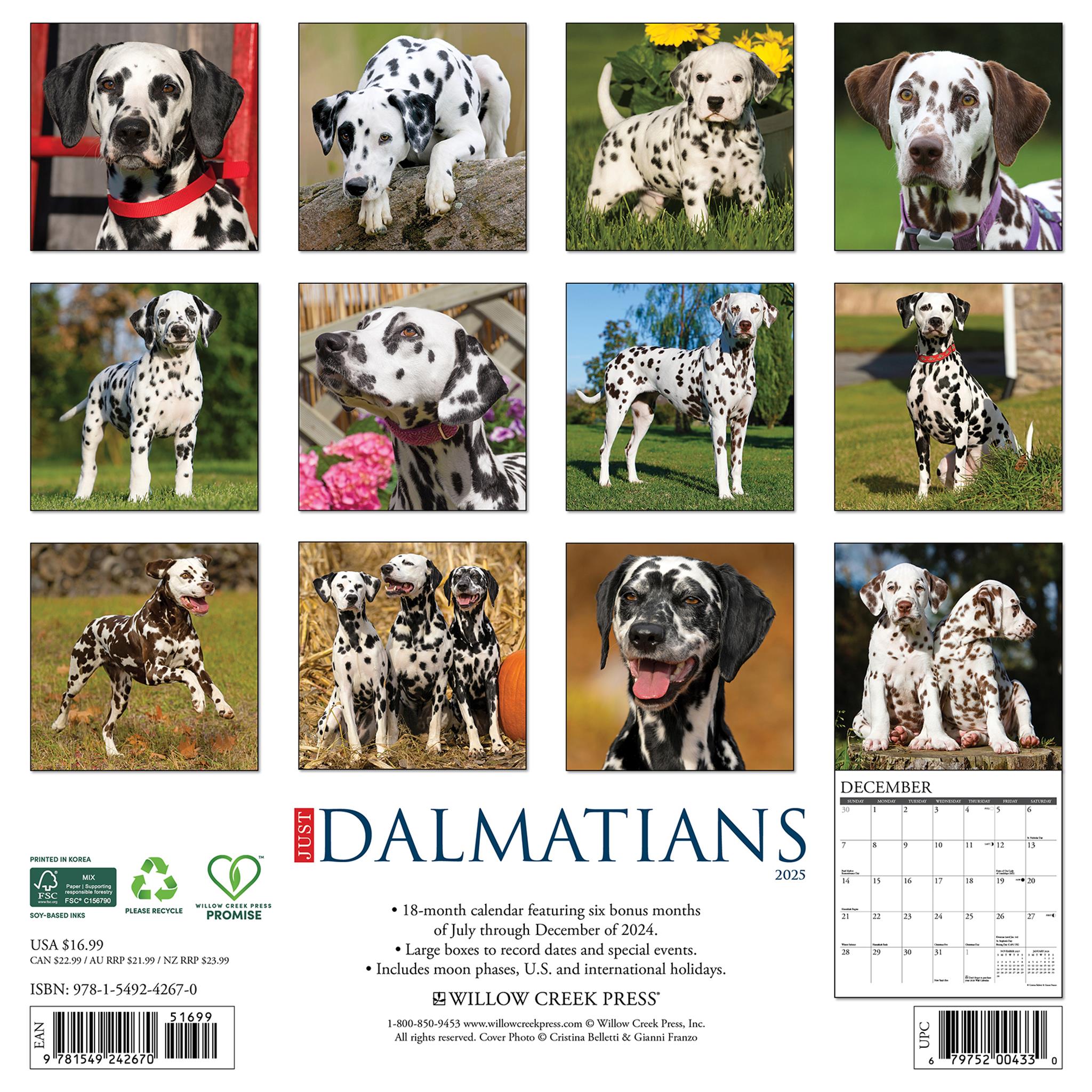 Just Dalmatians Wall 2025 Calendar