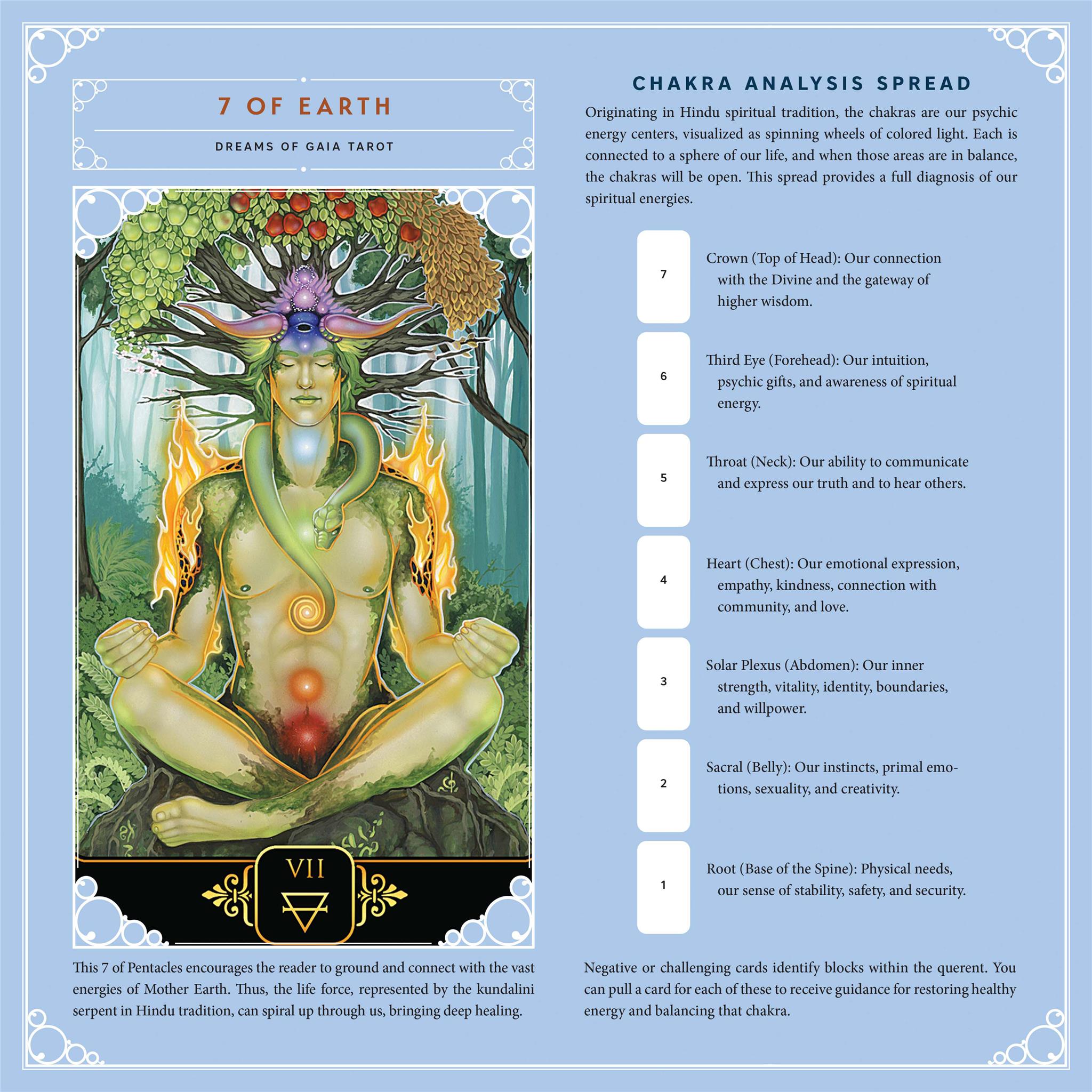 Tarot 2026 Wall Calendar