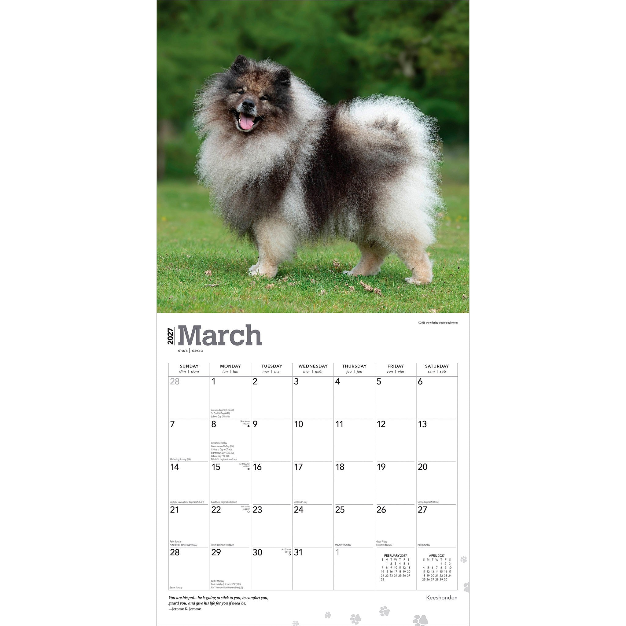 Keeshonden 2027 Wall Calendar
