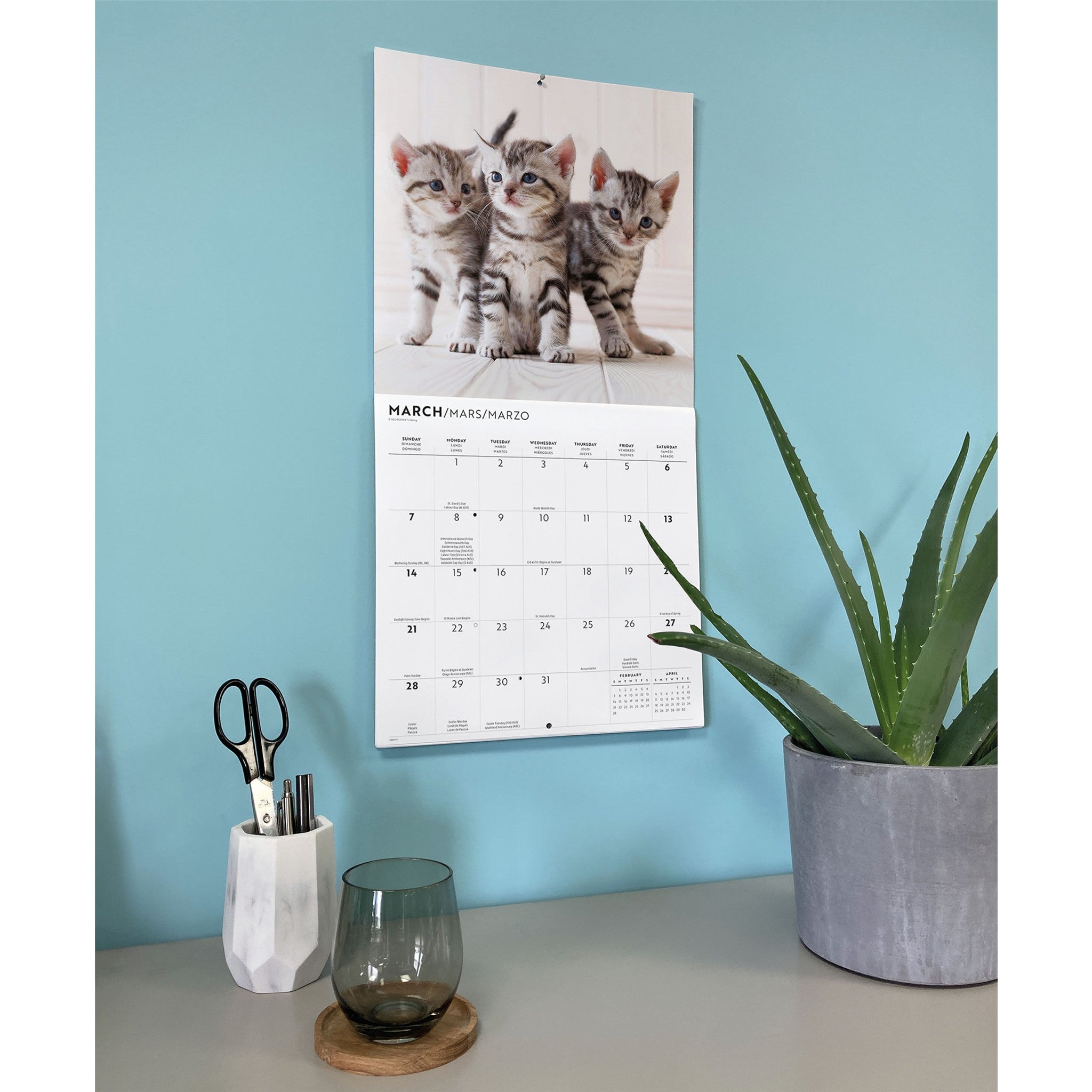 Cute Kittens 2027 Wall Calendar