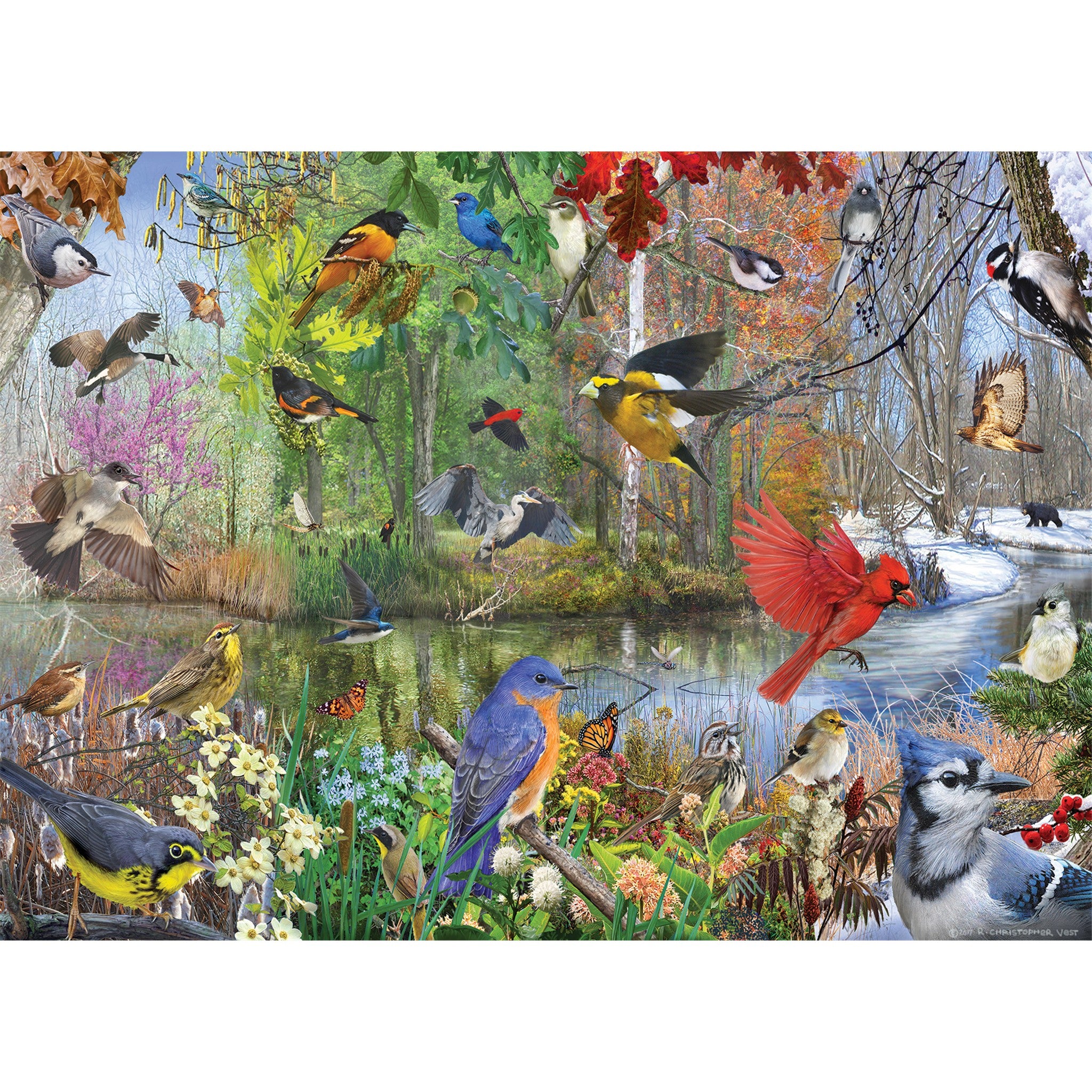Birds of the Season 1000 Piece Puzzle