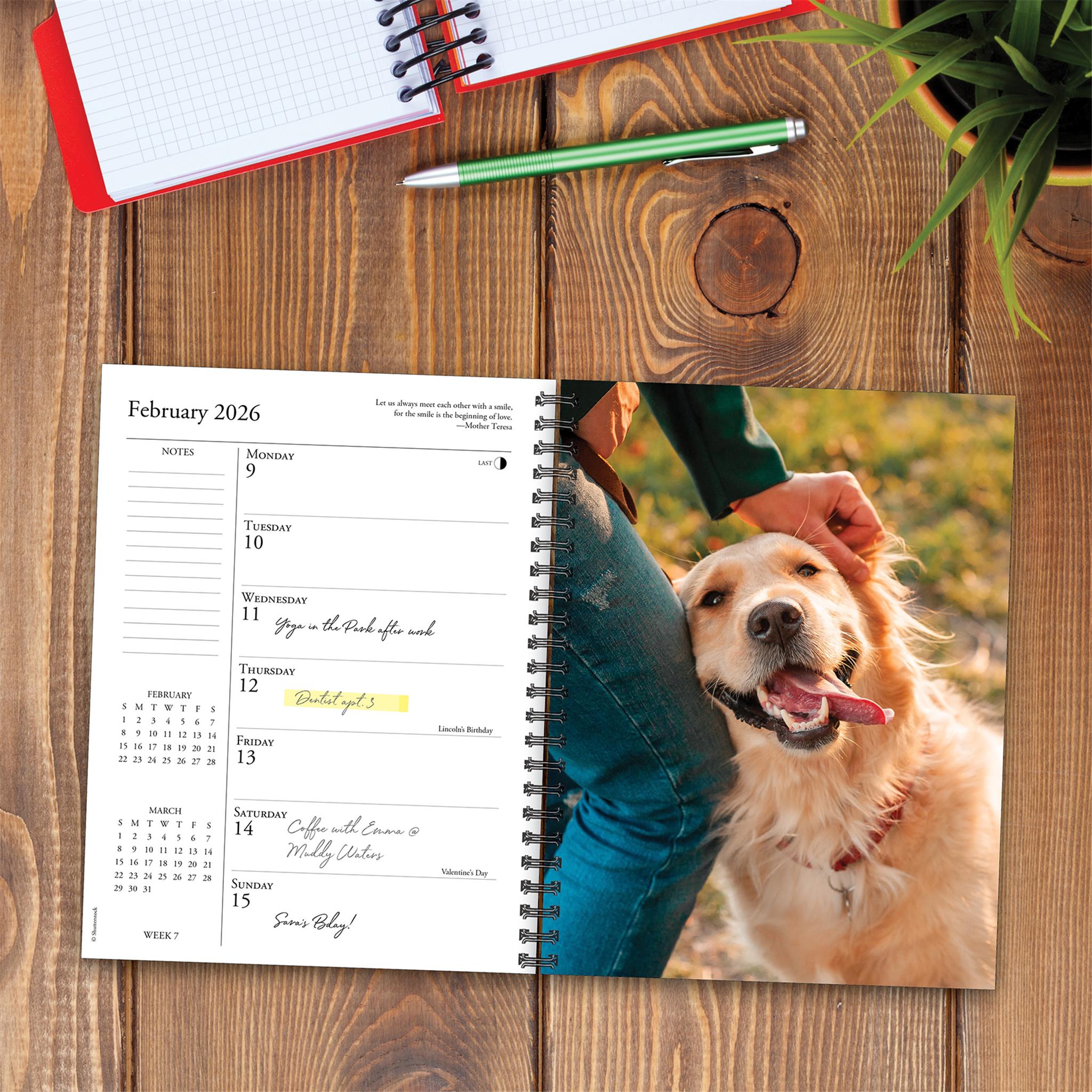What Goldens Teach Us 2026 Engagement Calendar