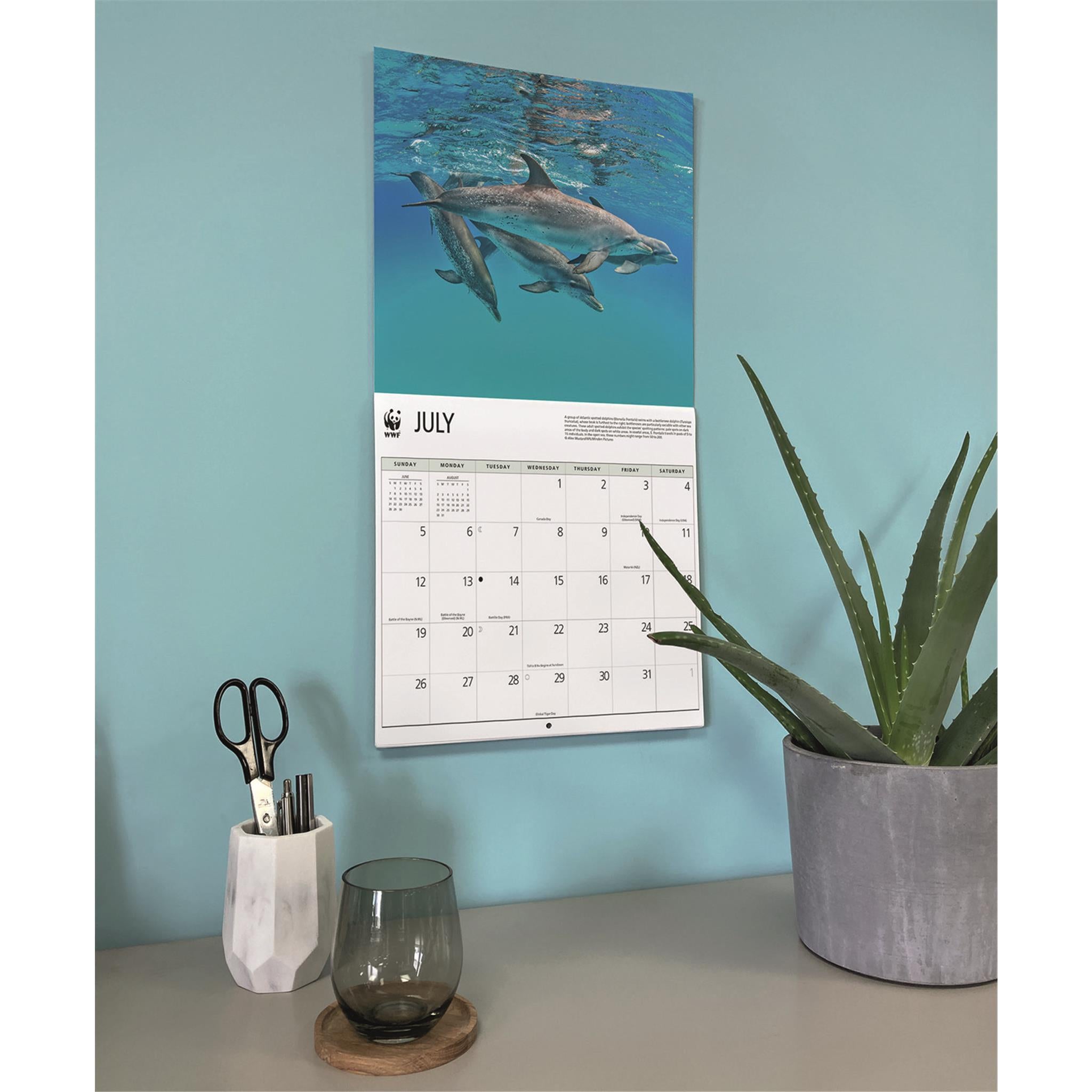 World Wildlife Fund Dolphins 2026 Wall Calendar