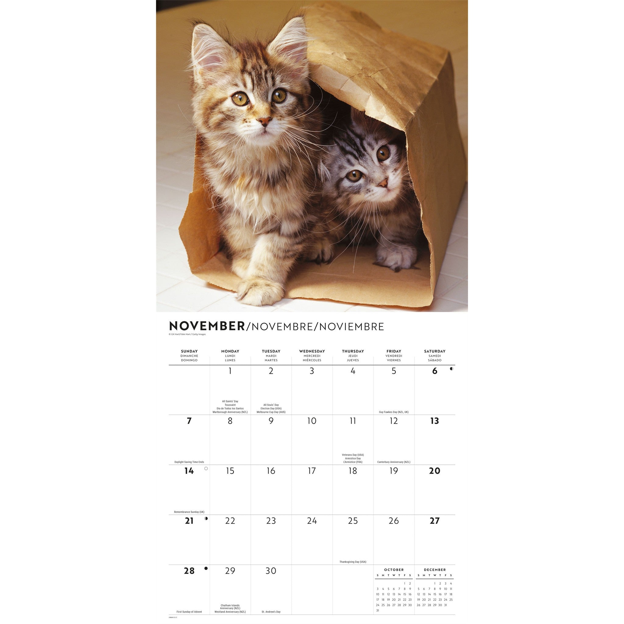 Cute Kittens 2027 Wall Calendar