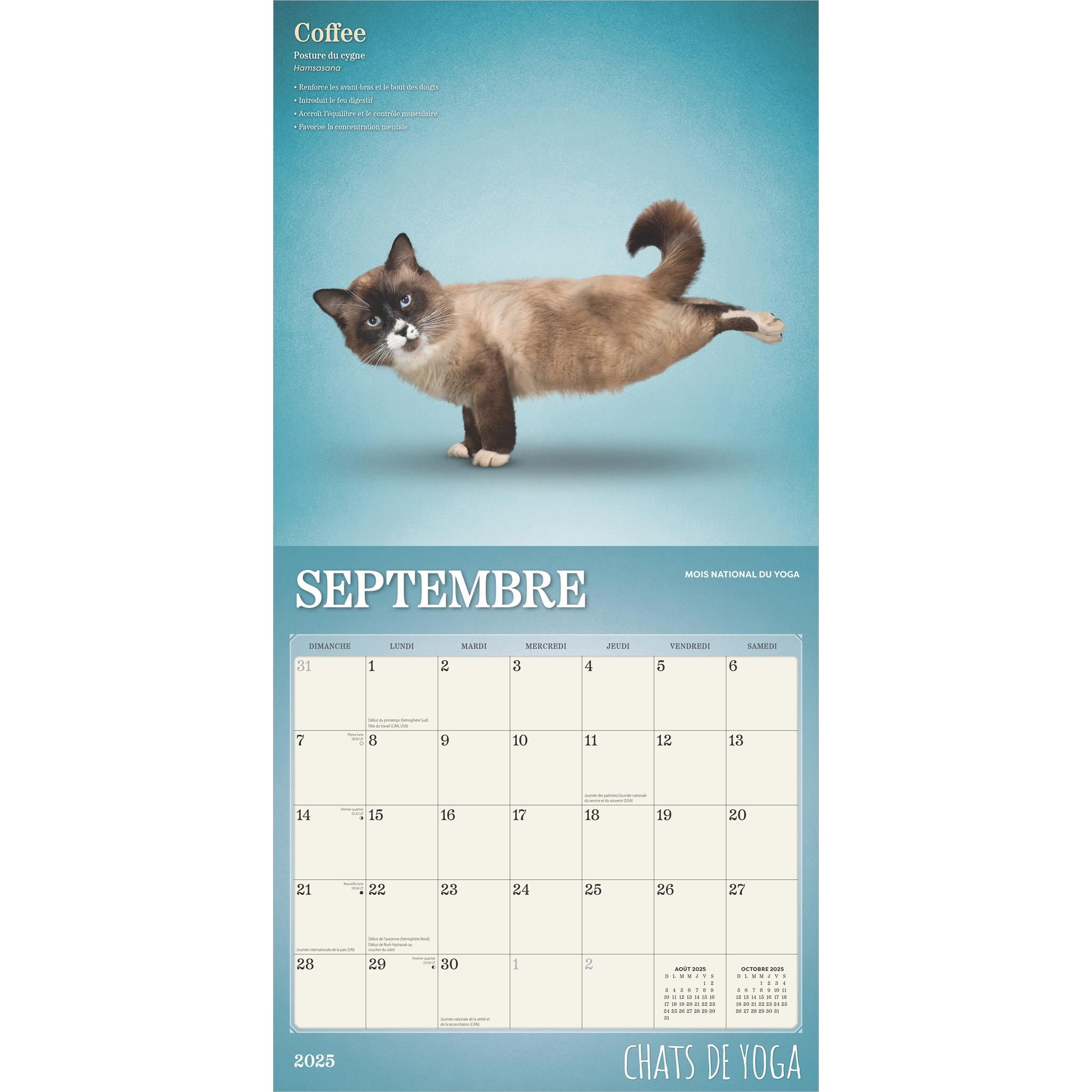 Chats De Yoga Wall 2025 Calendar (French)
