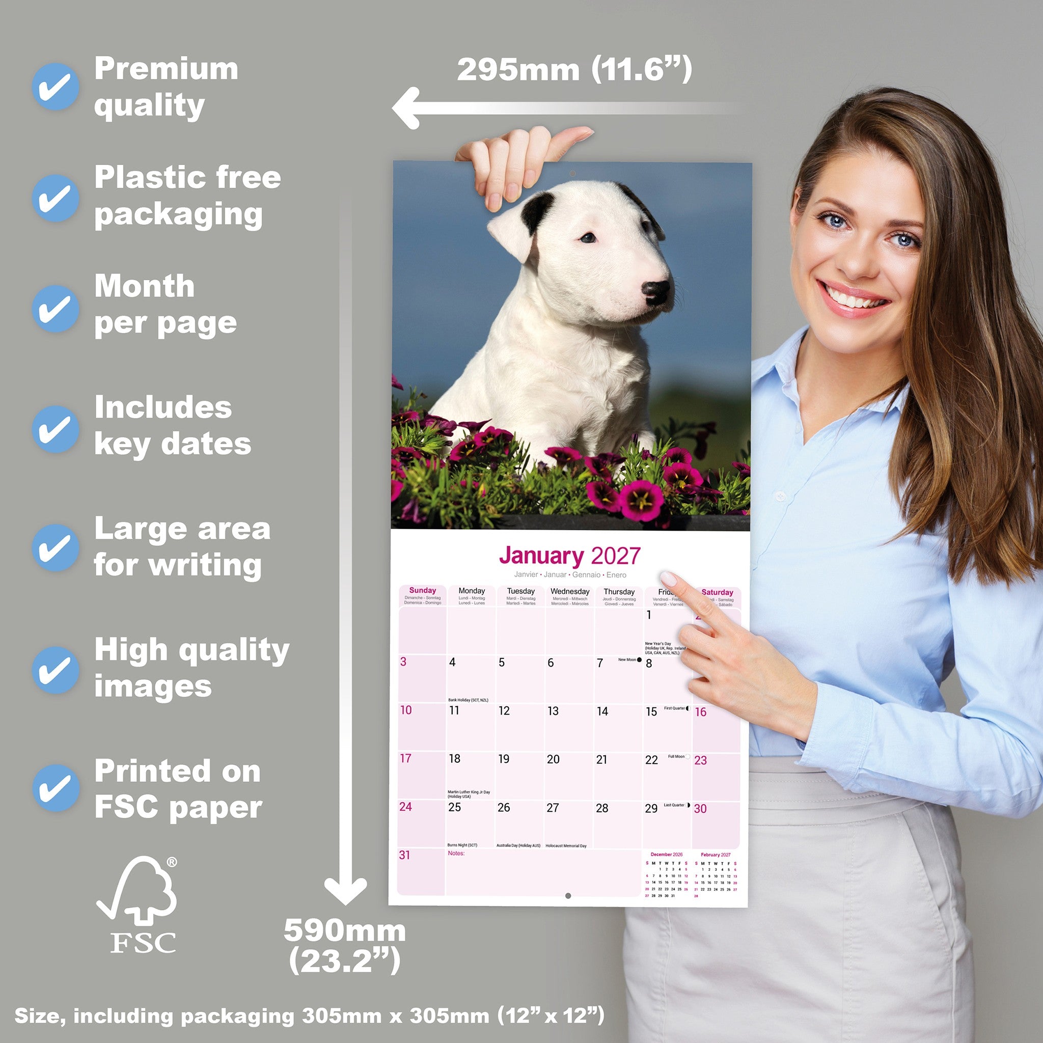 Bull Terriers 2027 Wall Calendar