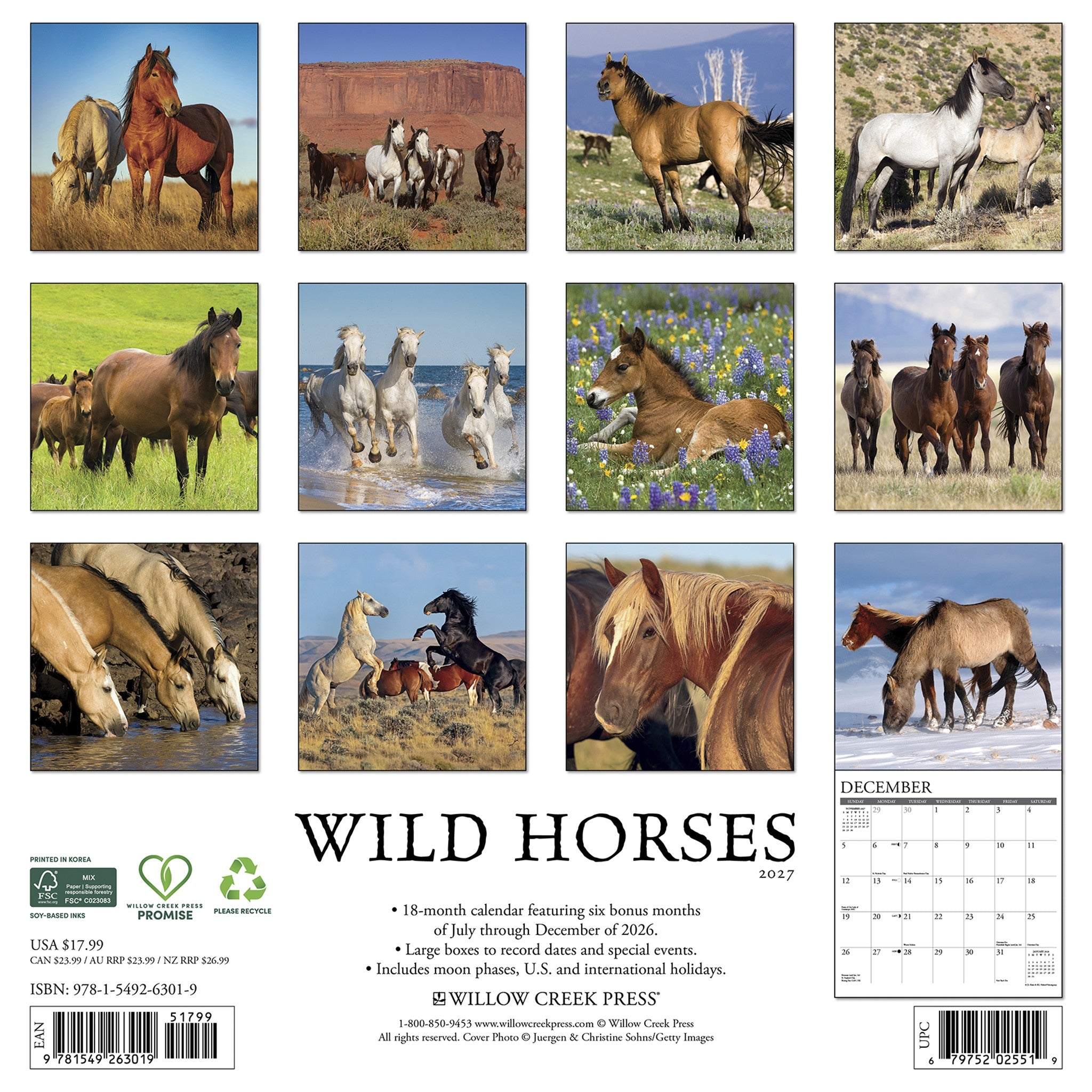 Wild Horses 2027 Wall Calendar