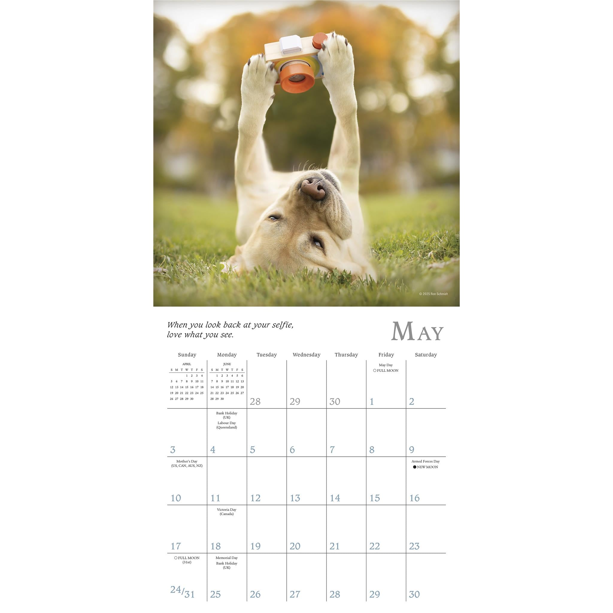Dogma 2026 Mini Calendar