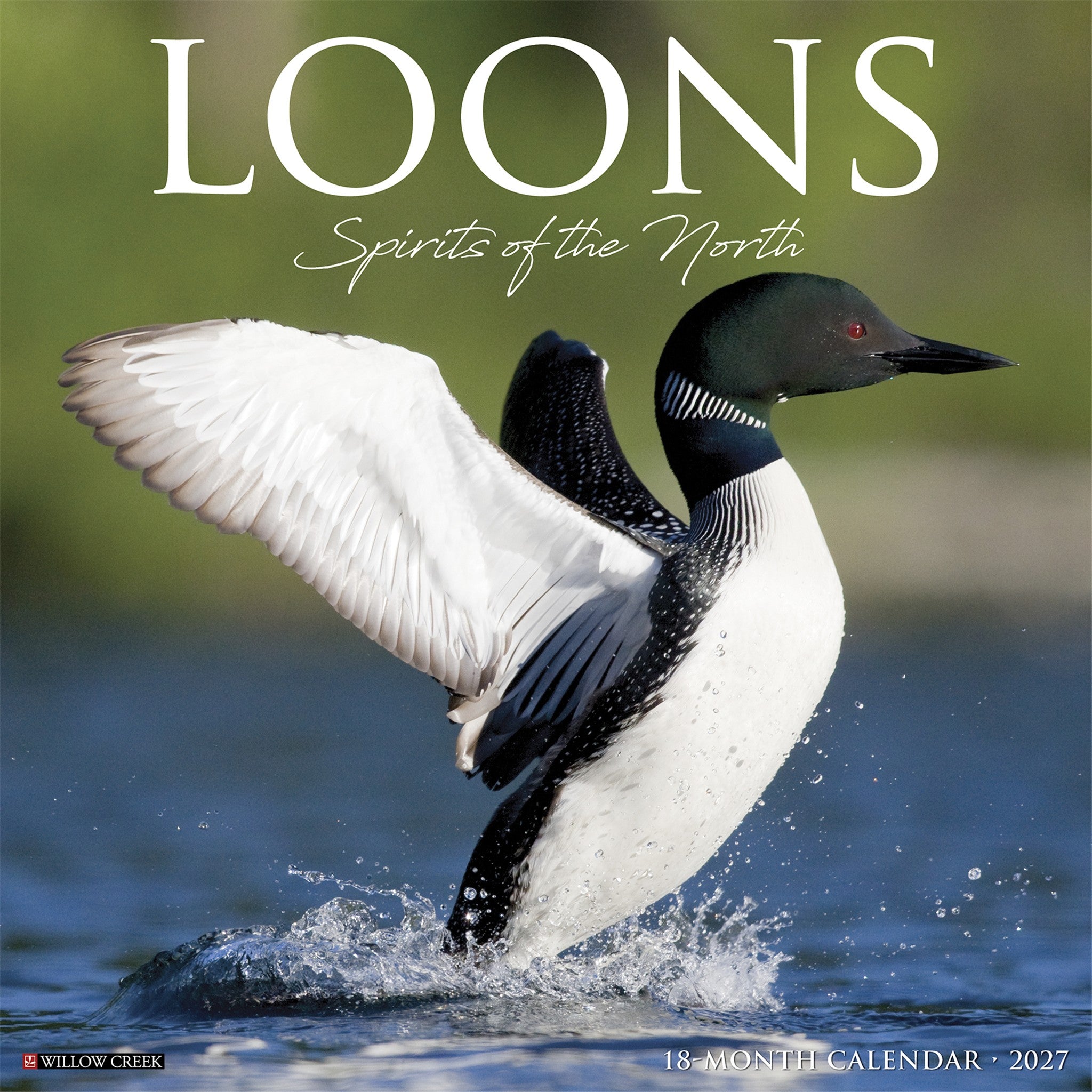 Loons 2027 Wall Calendar - Online Only