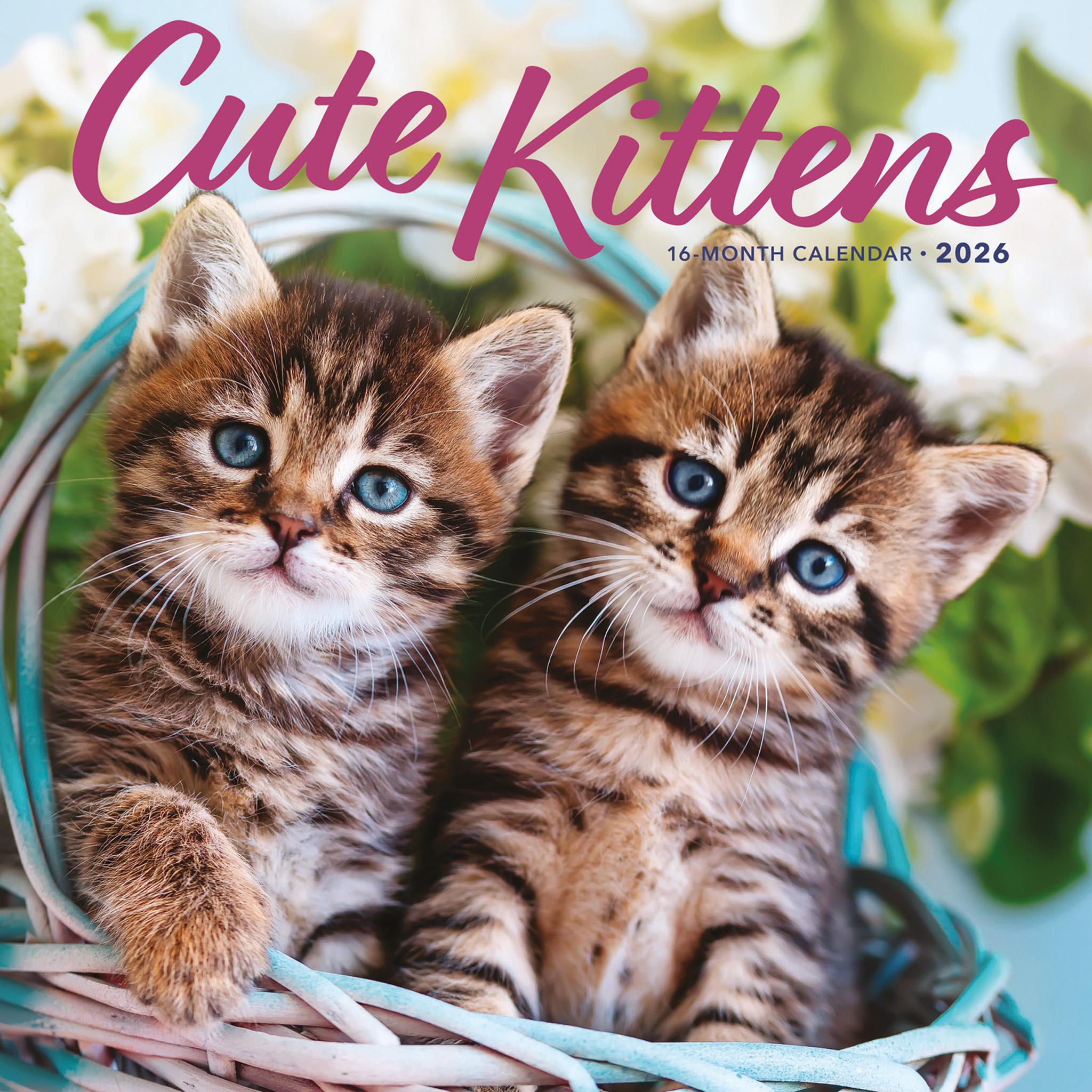 Cute Kittens 2026 Wall Calendar