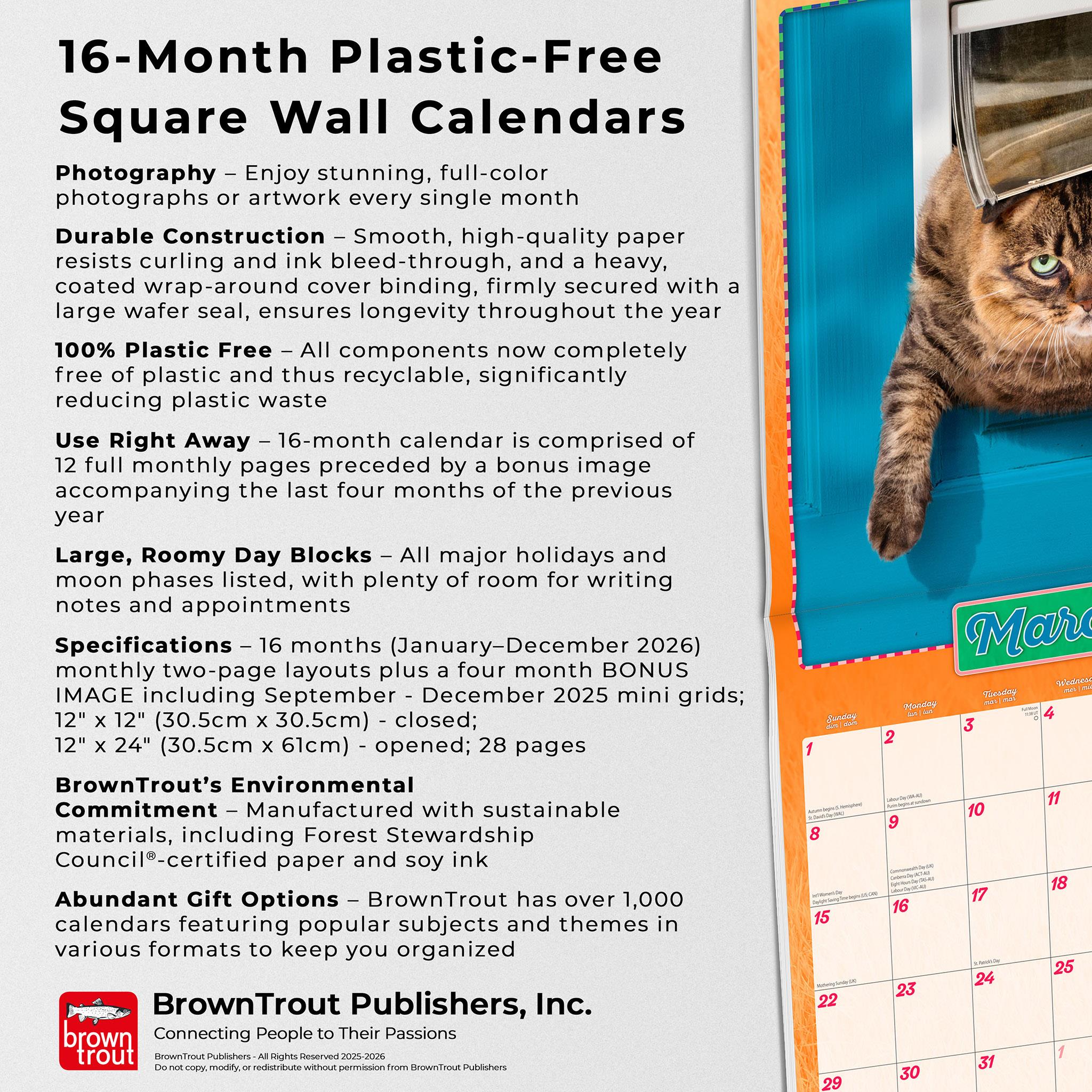 Avanti Cranky Kitties 2026 Wall Calendar - Online Exclusive