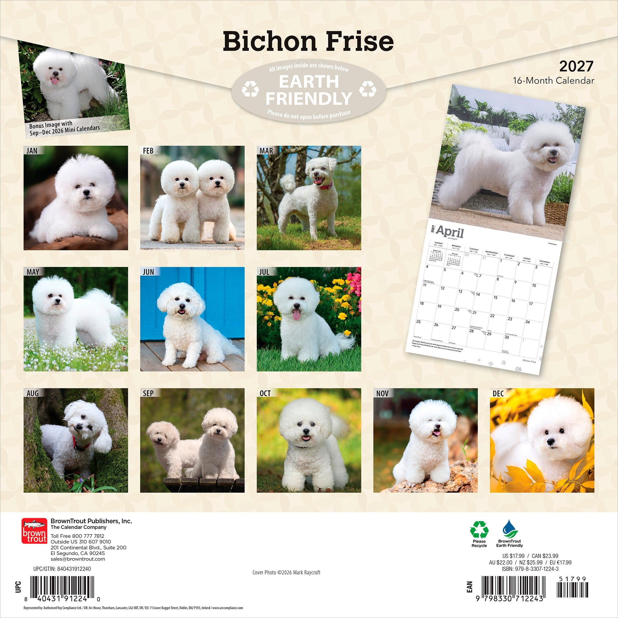 Bichon Frise 2027 Wall Calendar - Online Only
