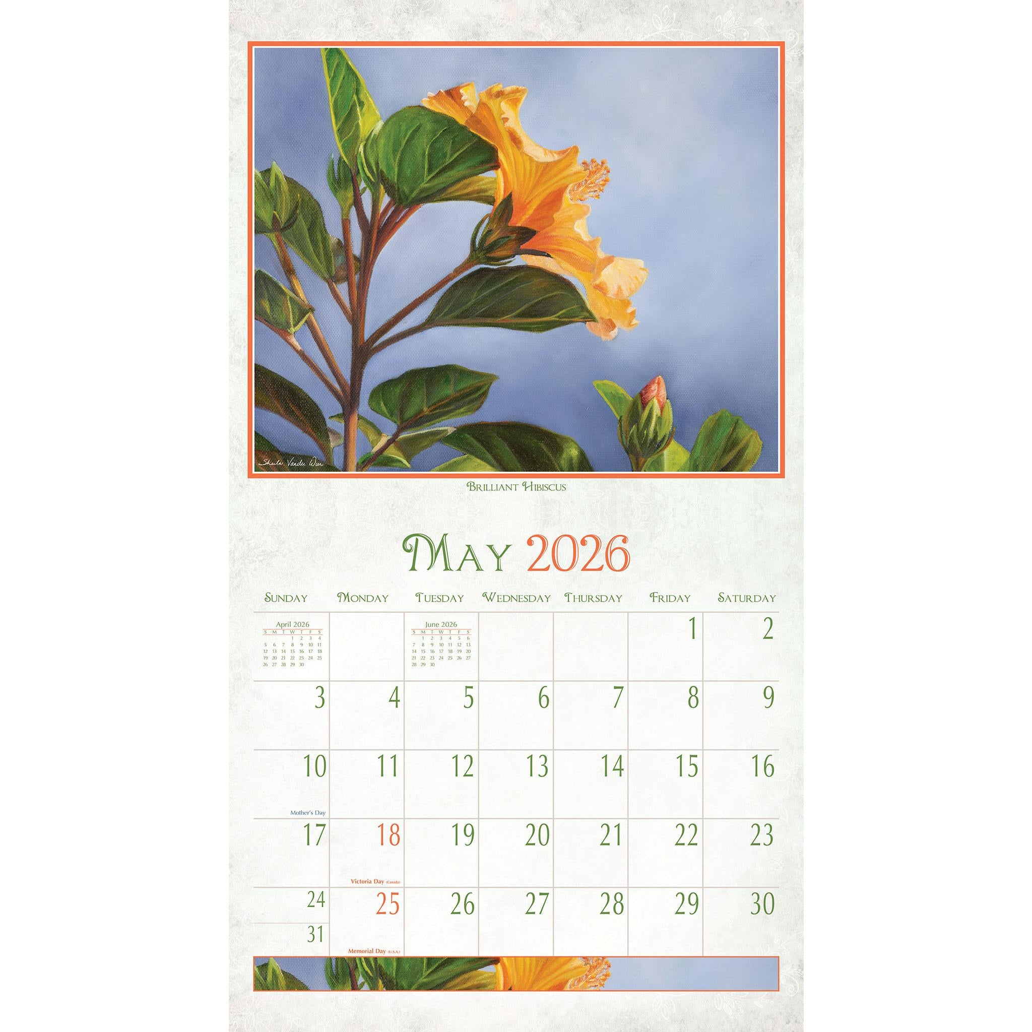 Beauty In Bloom 2026 Wall Calendar - Online Only