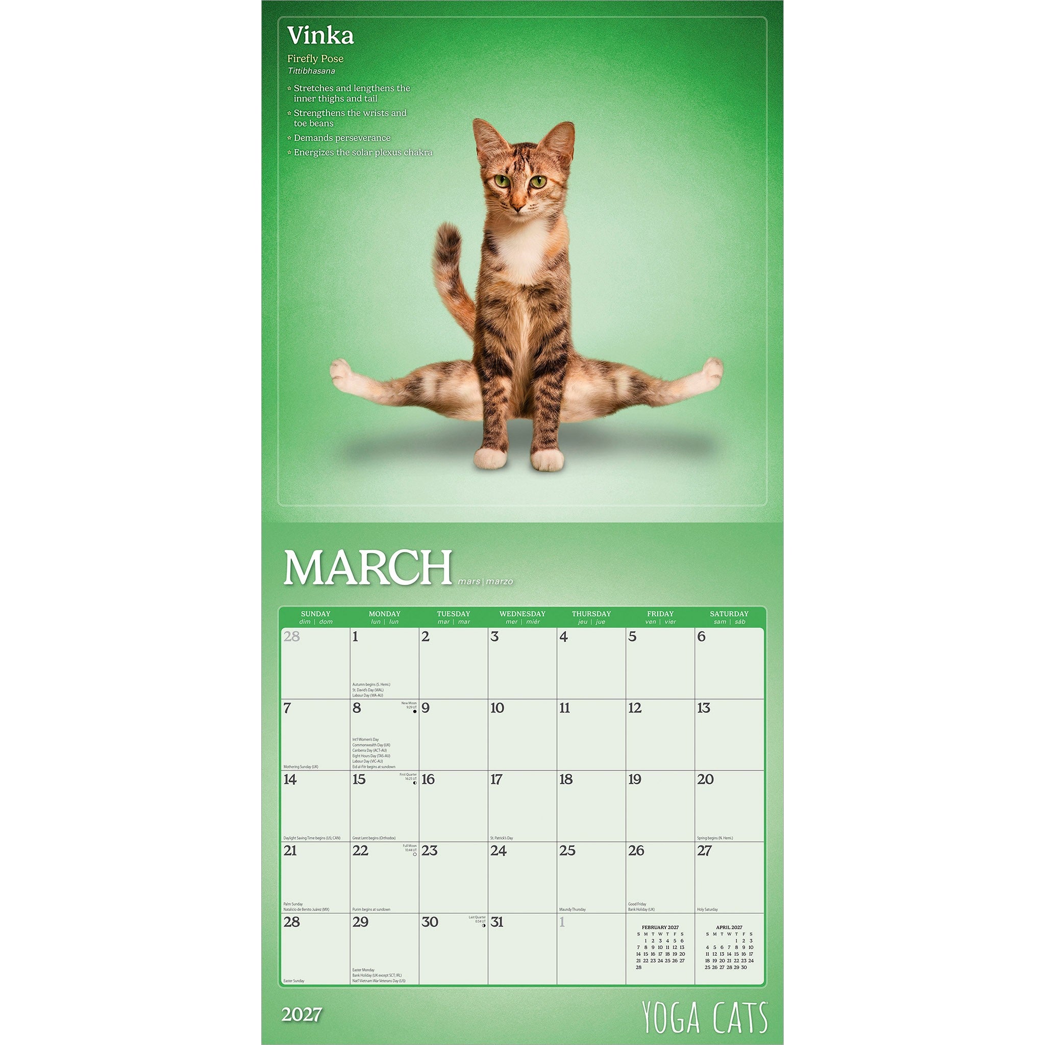 Yoga Cats 2027 Wall Calendar