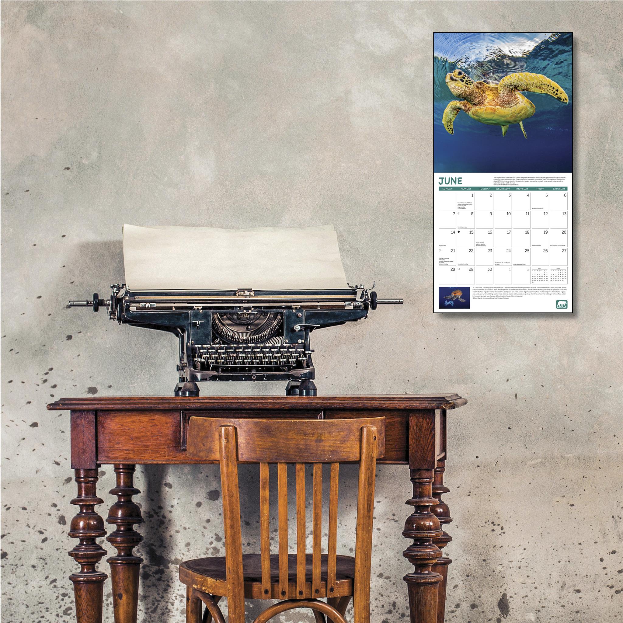 Project Green 2026 Wall Calendar
