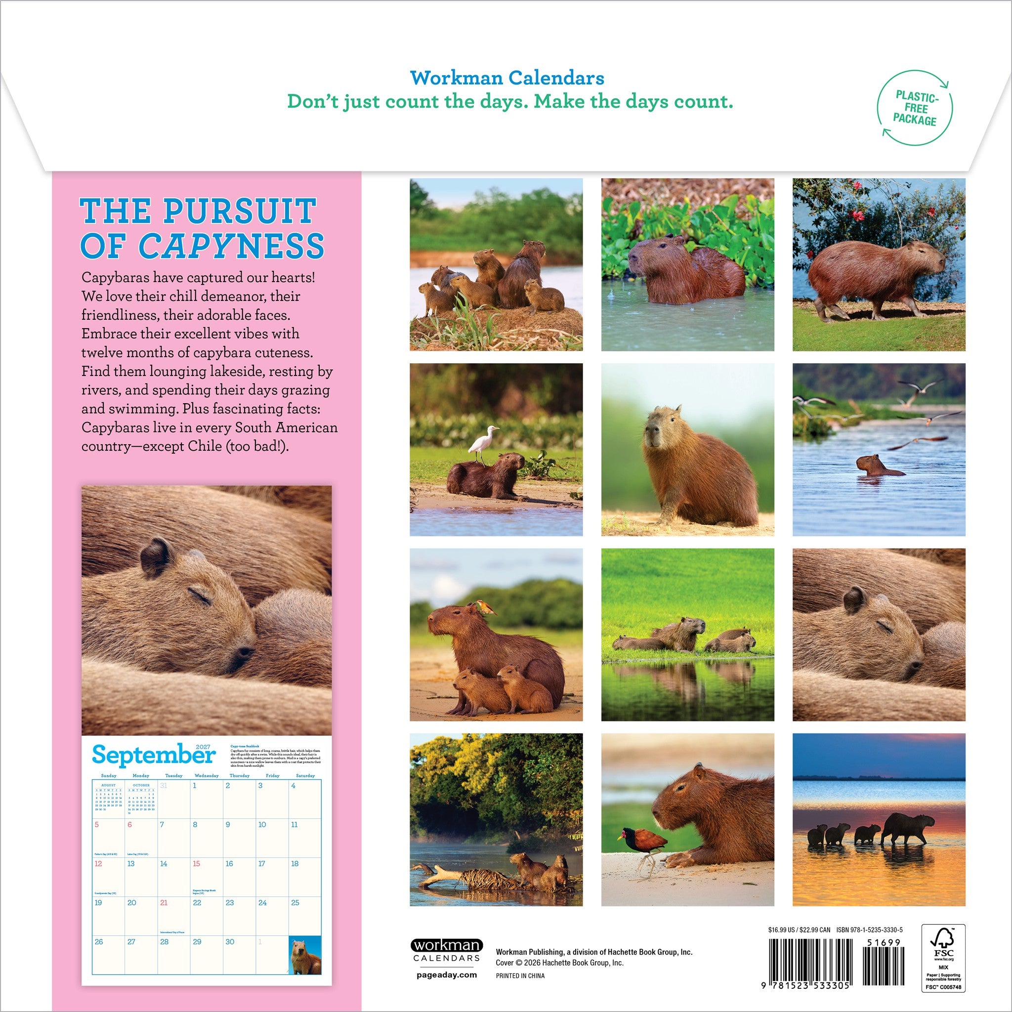 Capybara 2027 Wall Calendar