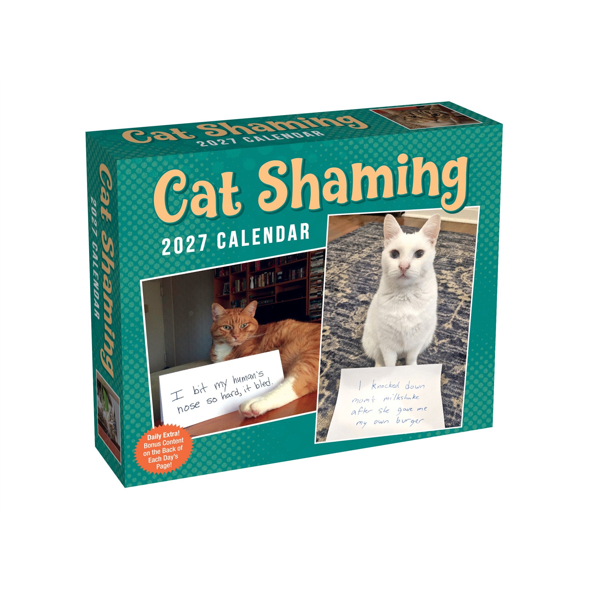 Cat Shaming 2027 Box Calendar