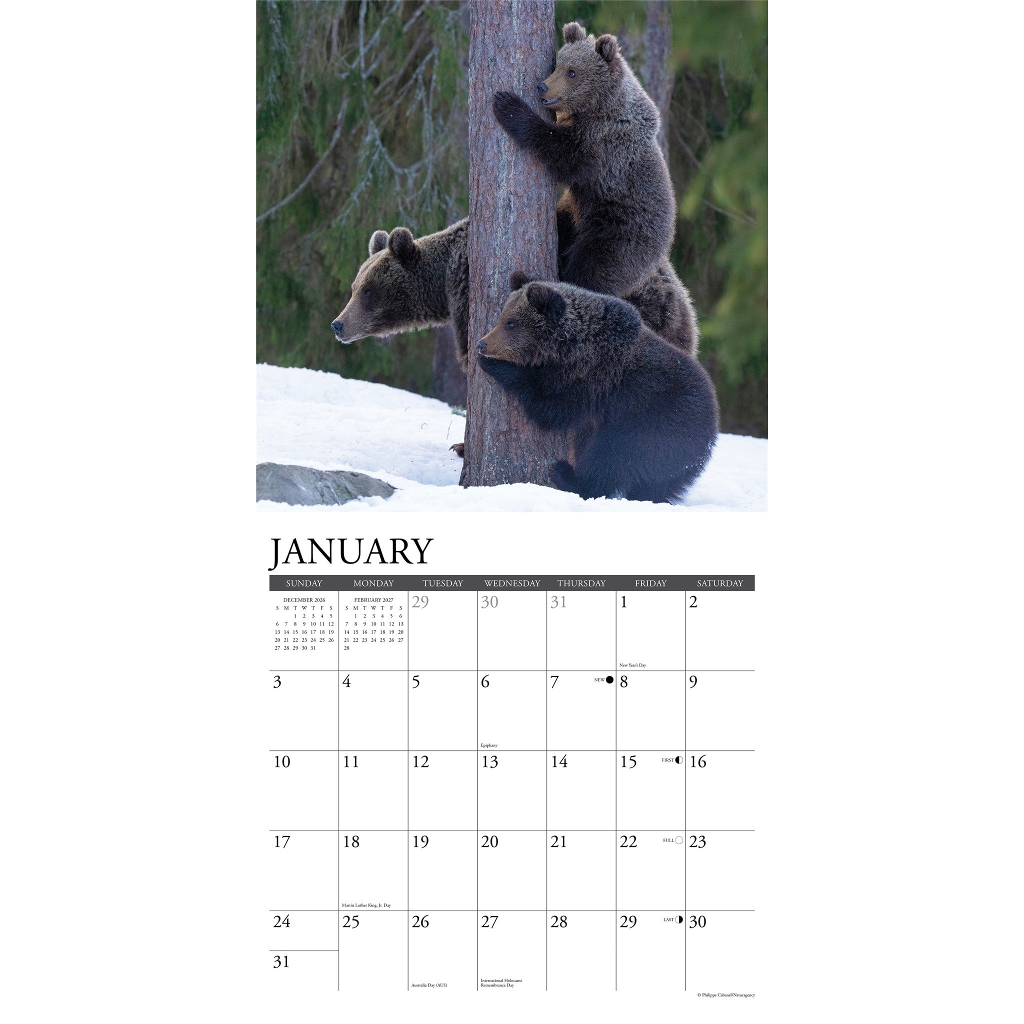 Grizzlies 2027 Wall Calendar