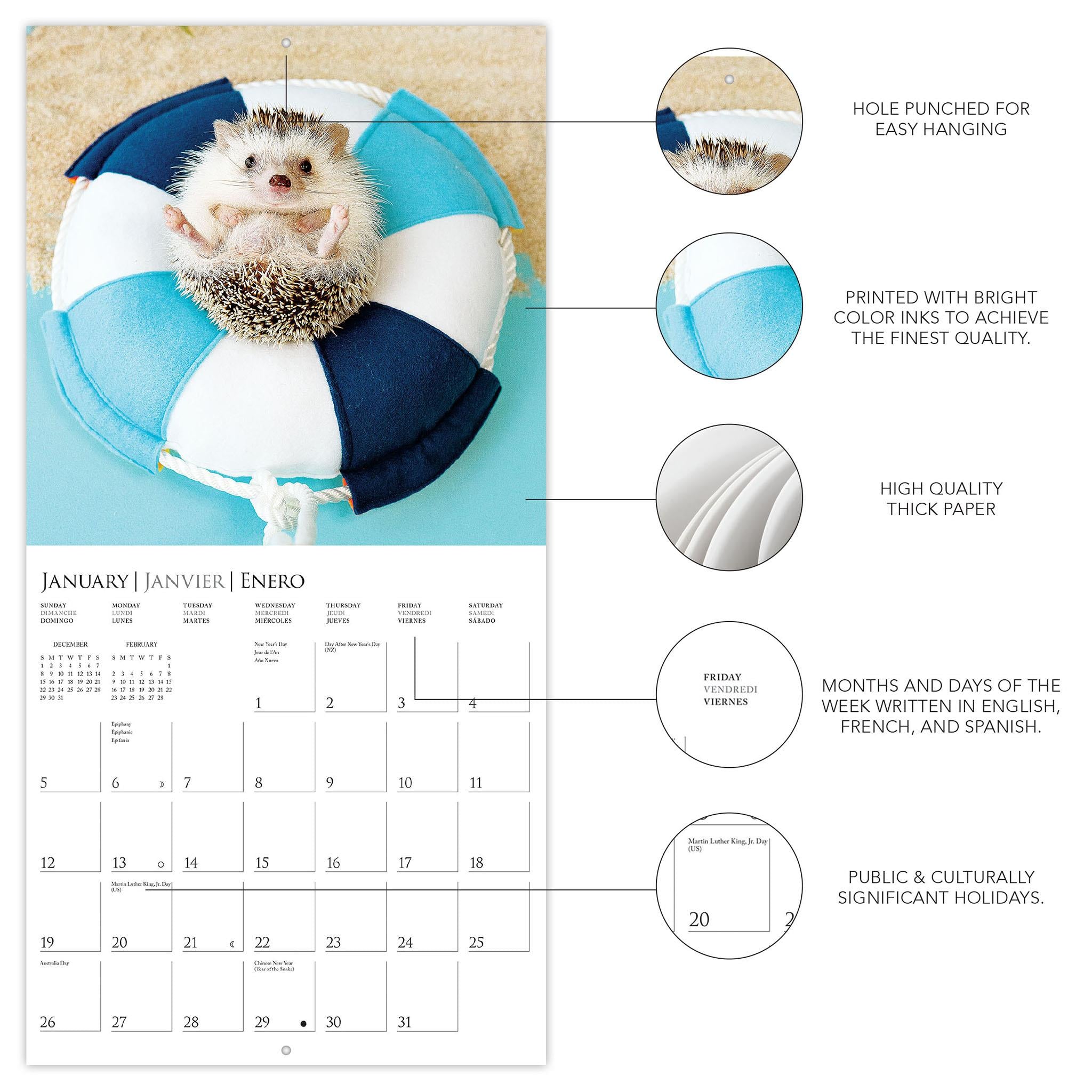 Happiest Hedgehogs Wall 2025 Calendar