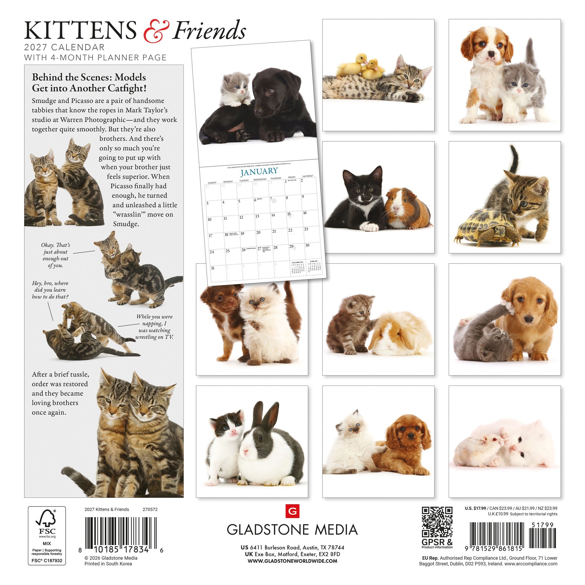 Kittens and Friends 2027 Wall Calendar