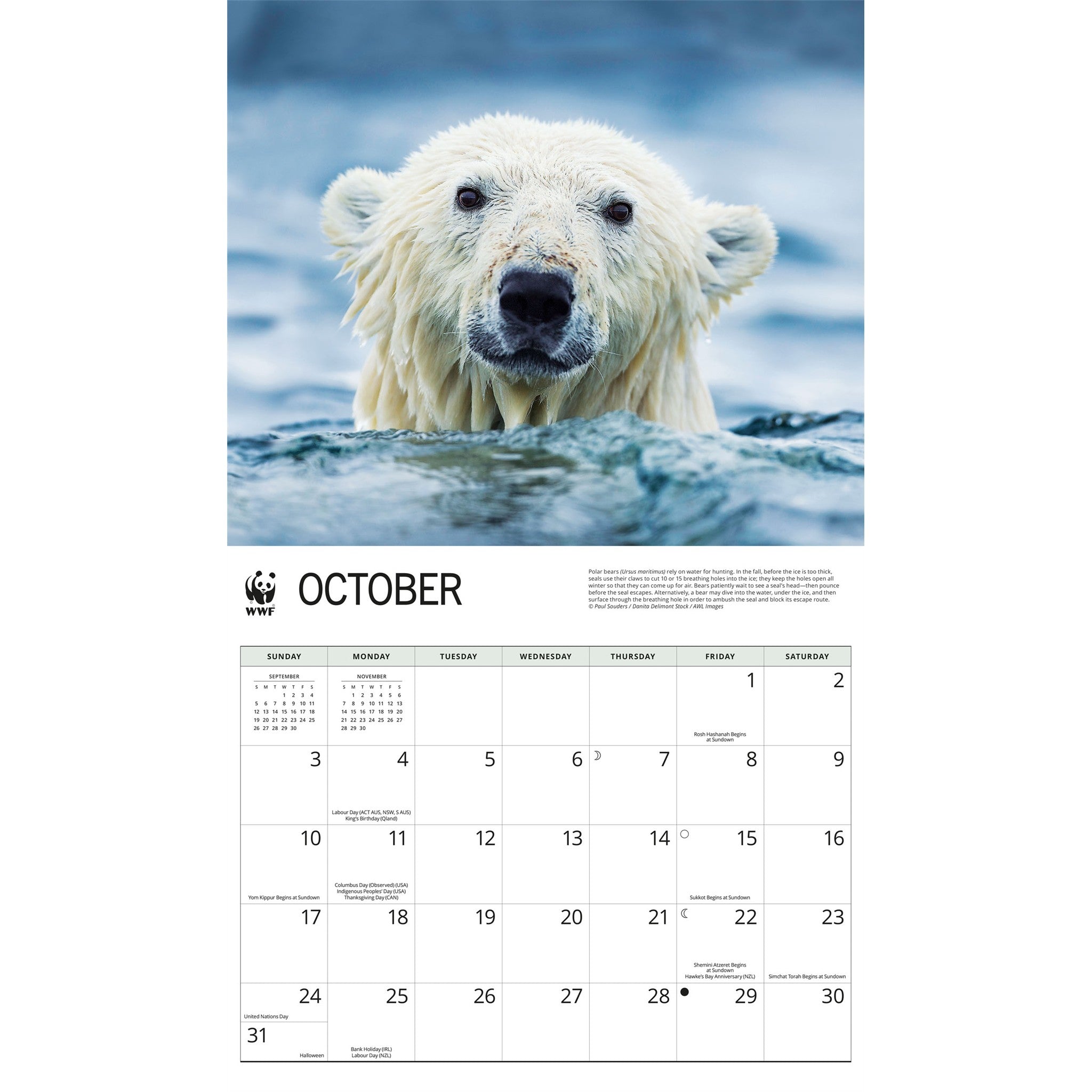 World Wildlife Fund Polar Bears 2027 Wall Calendar