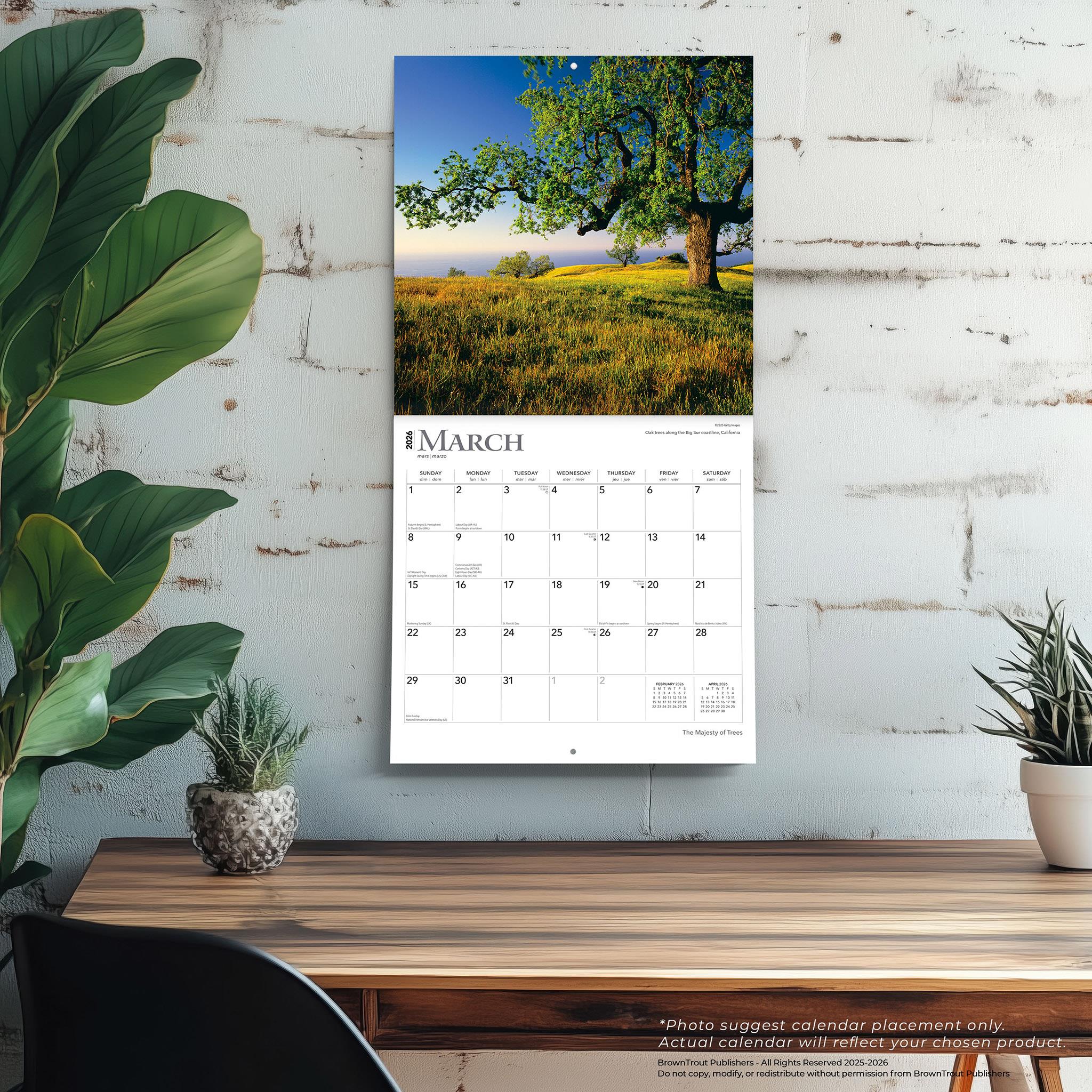 Majesty Of Trees 2026 Wall Calendar - Online Only