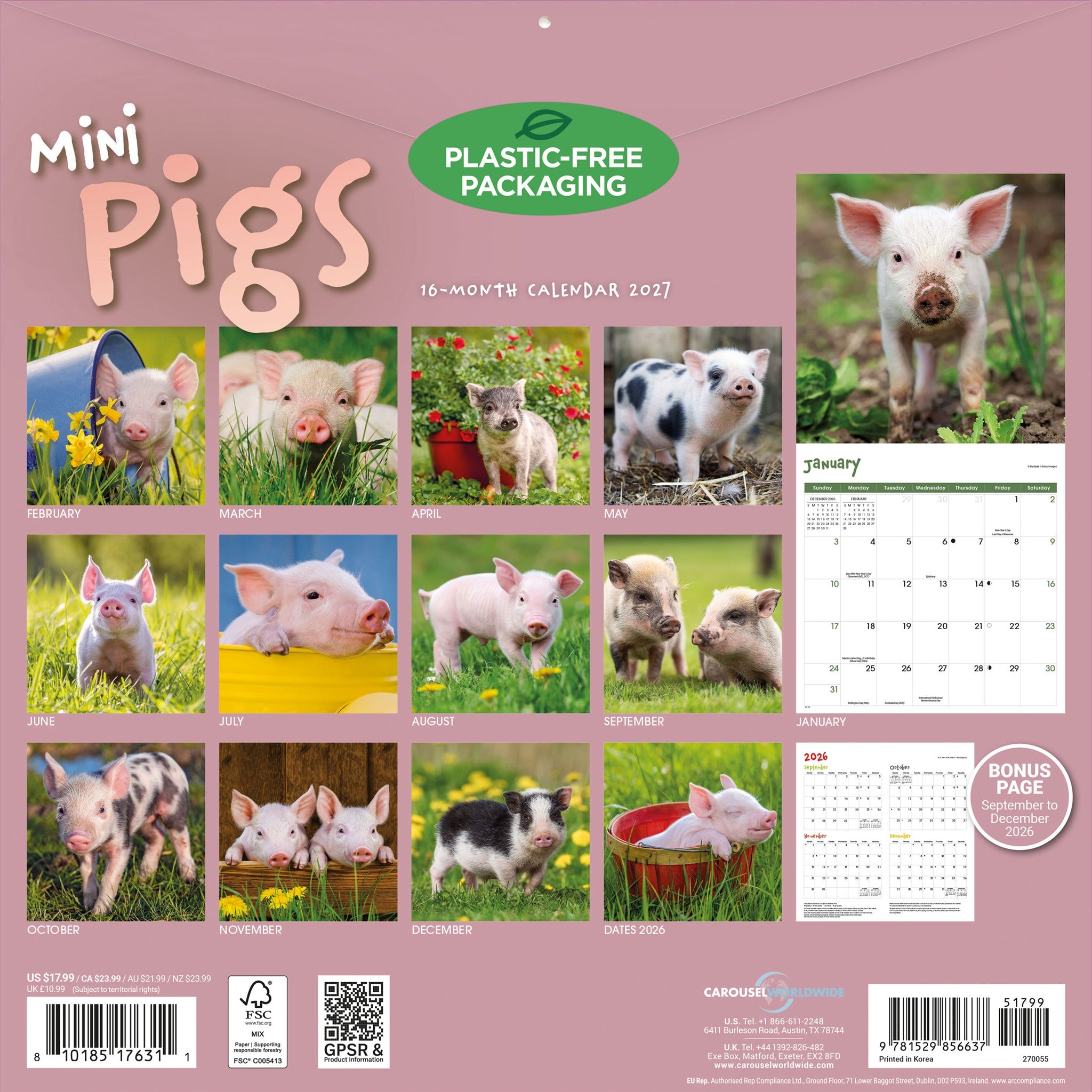 Mini Pigs 2027 Wall Calendar