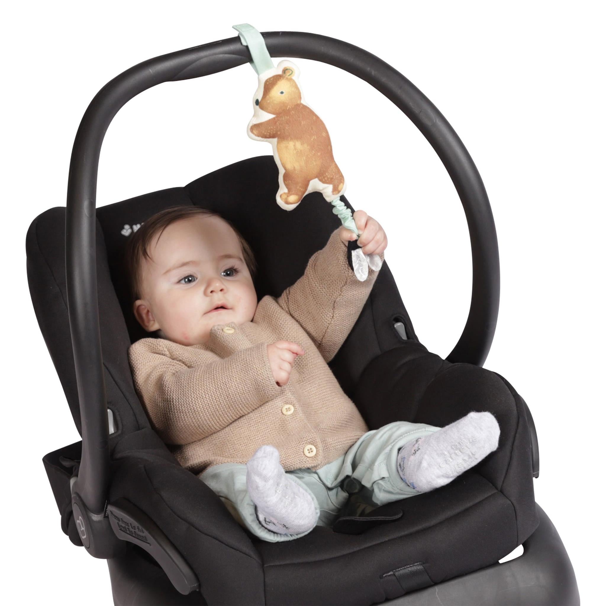 Bumble Bear Take Along Toy