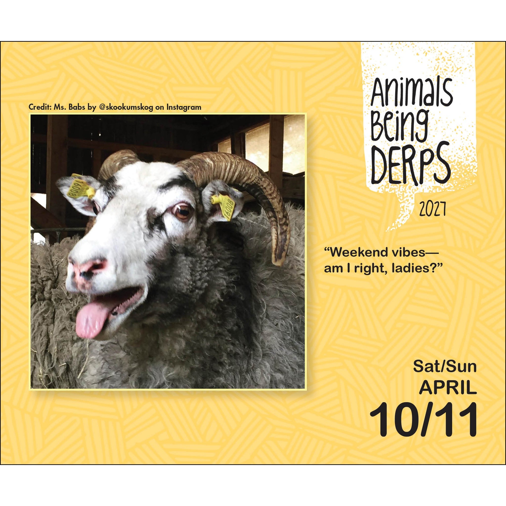Animals Being Derps 2027 Box Calendar
