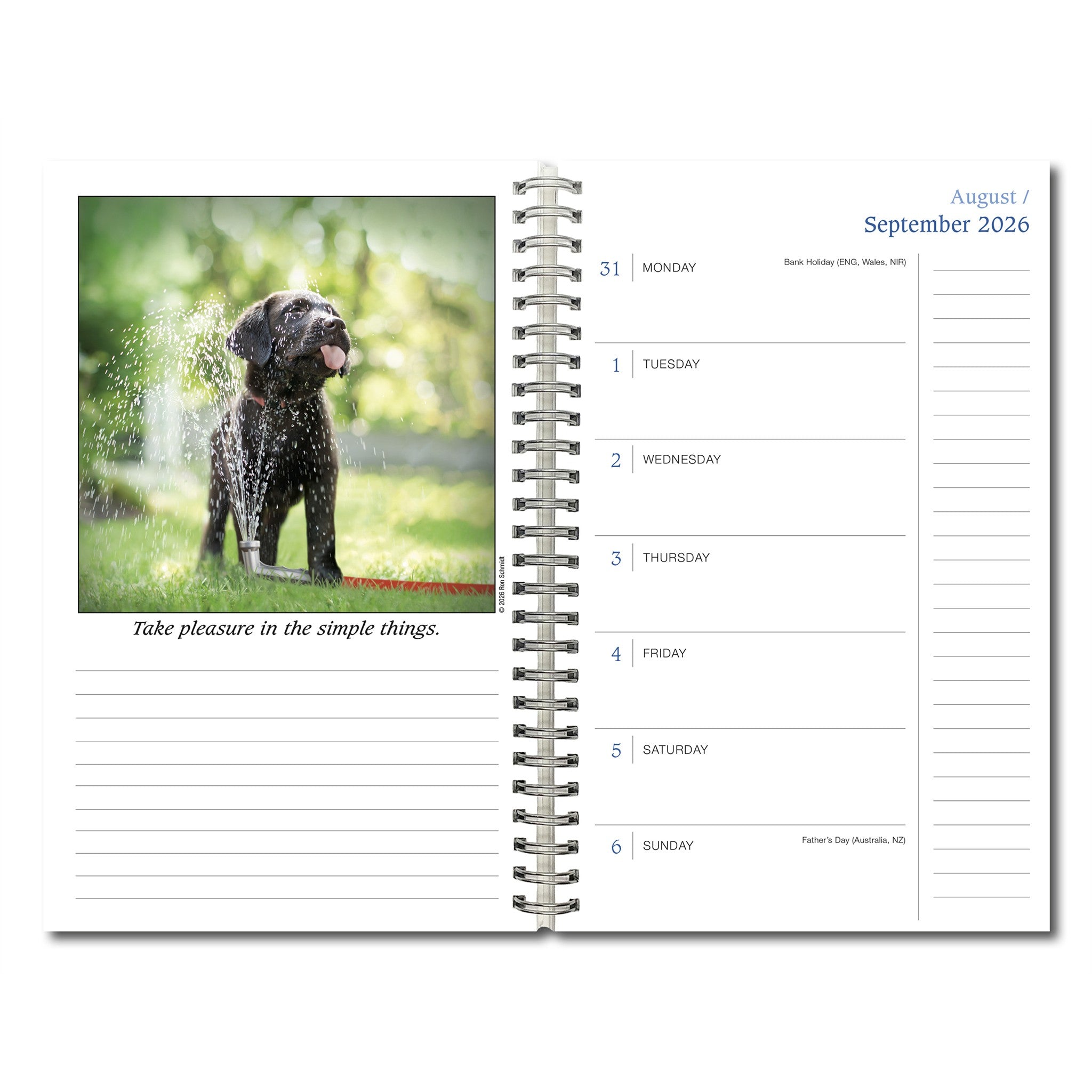 Dogma 2027 Engagement Calendar