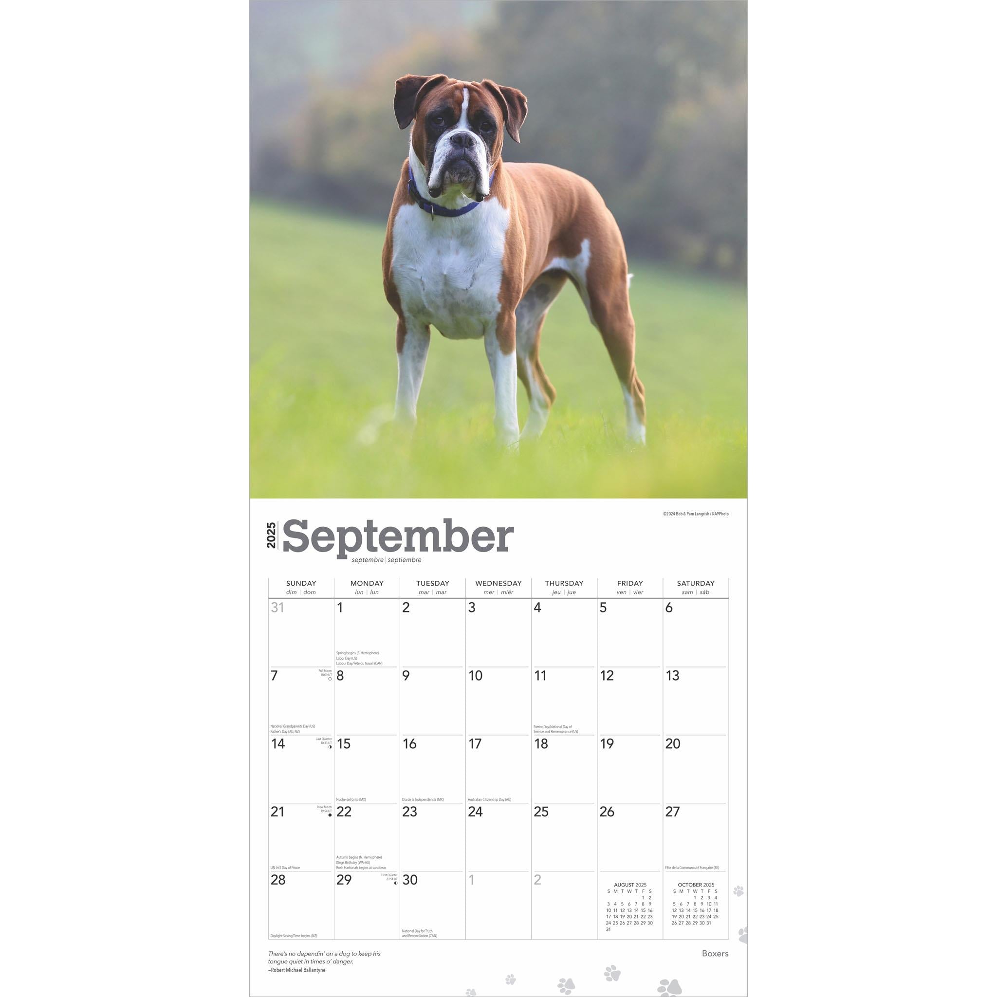 Boxers International Wall 2025 Calendar