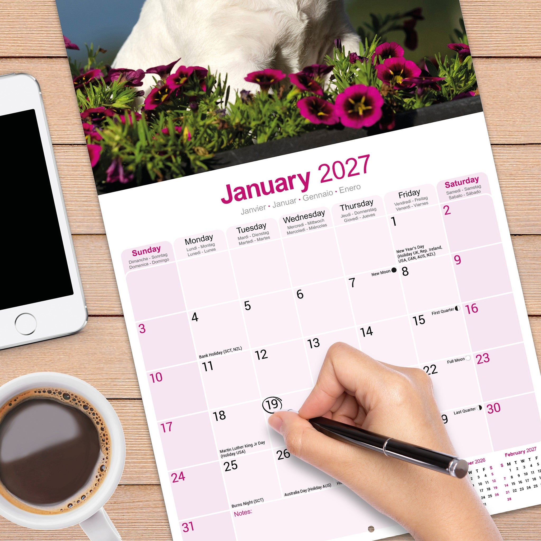 Bull Terriers 2027 Wall Calendar