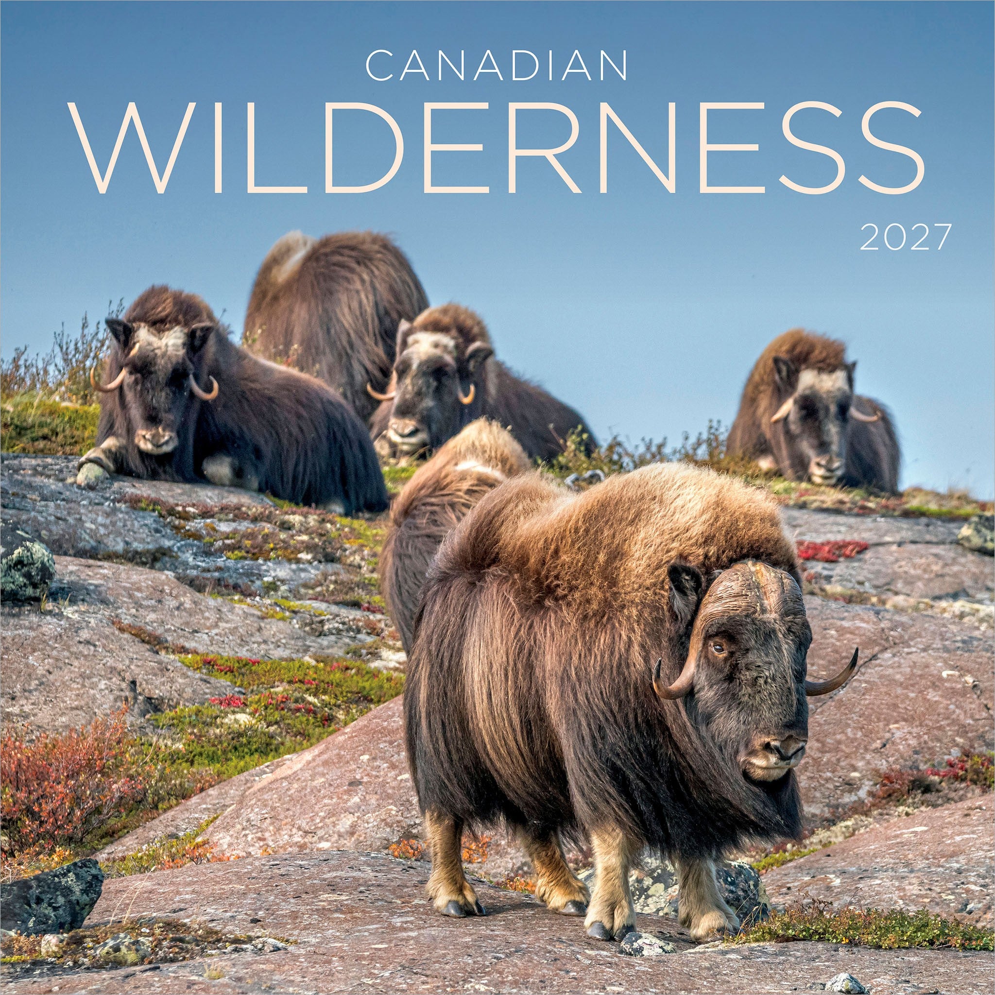 Canadian Wilderness 2027 Wall Calendar - Online Only