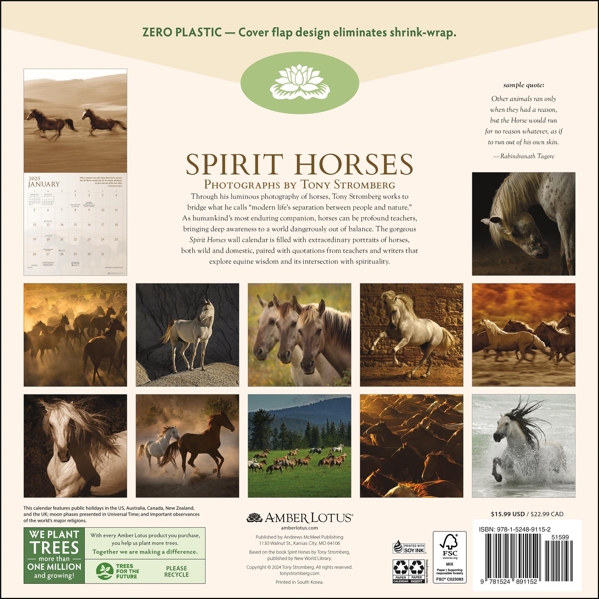 Spirit Horses Wall 2025 Calendar